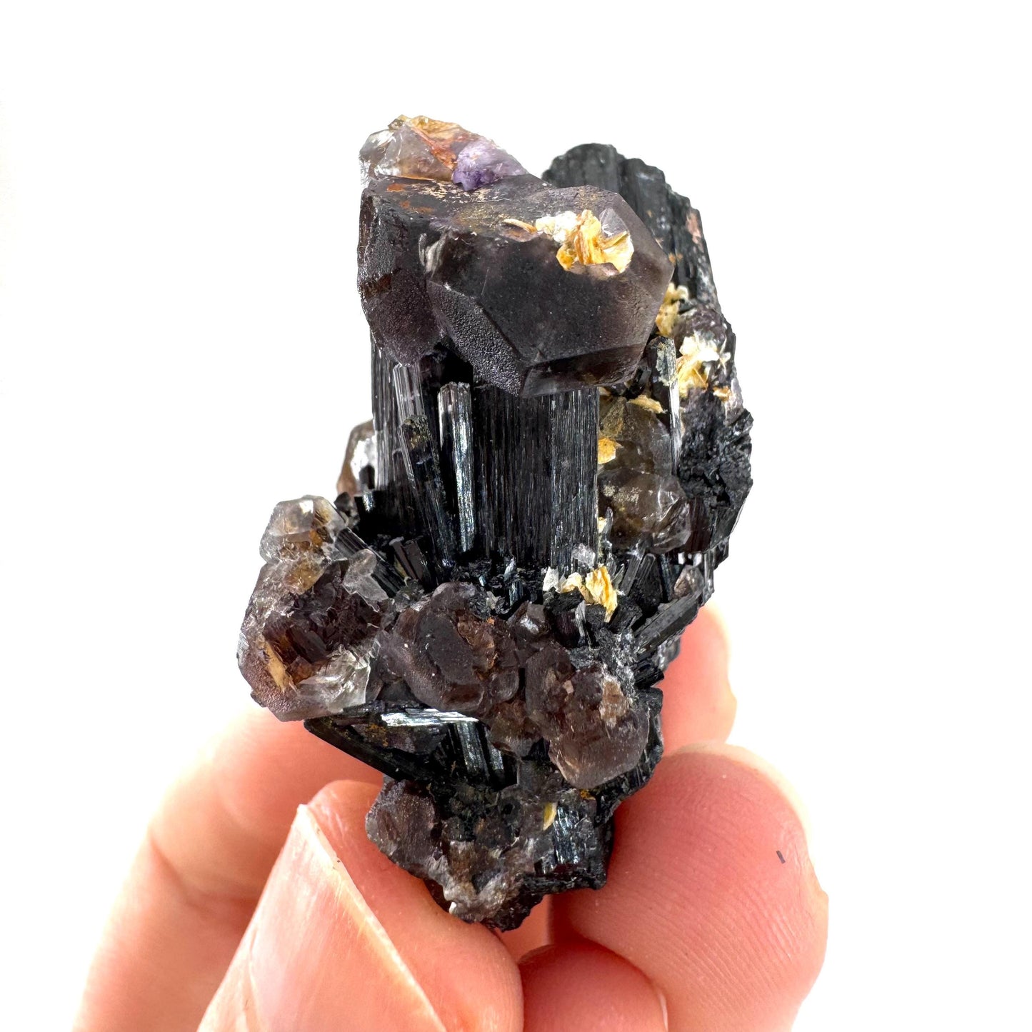 Fluorite & Hyalite Opal on Black Tourmaline | chocolate brown crystal cluster, Erongo mineral specimen