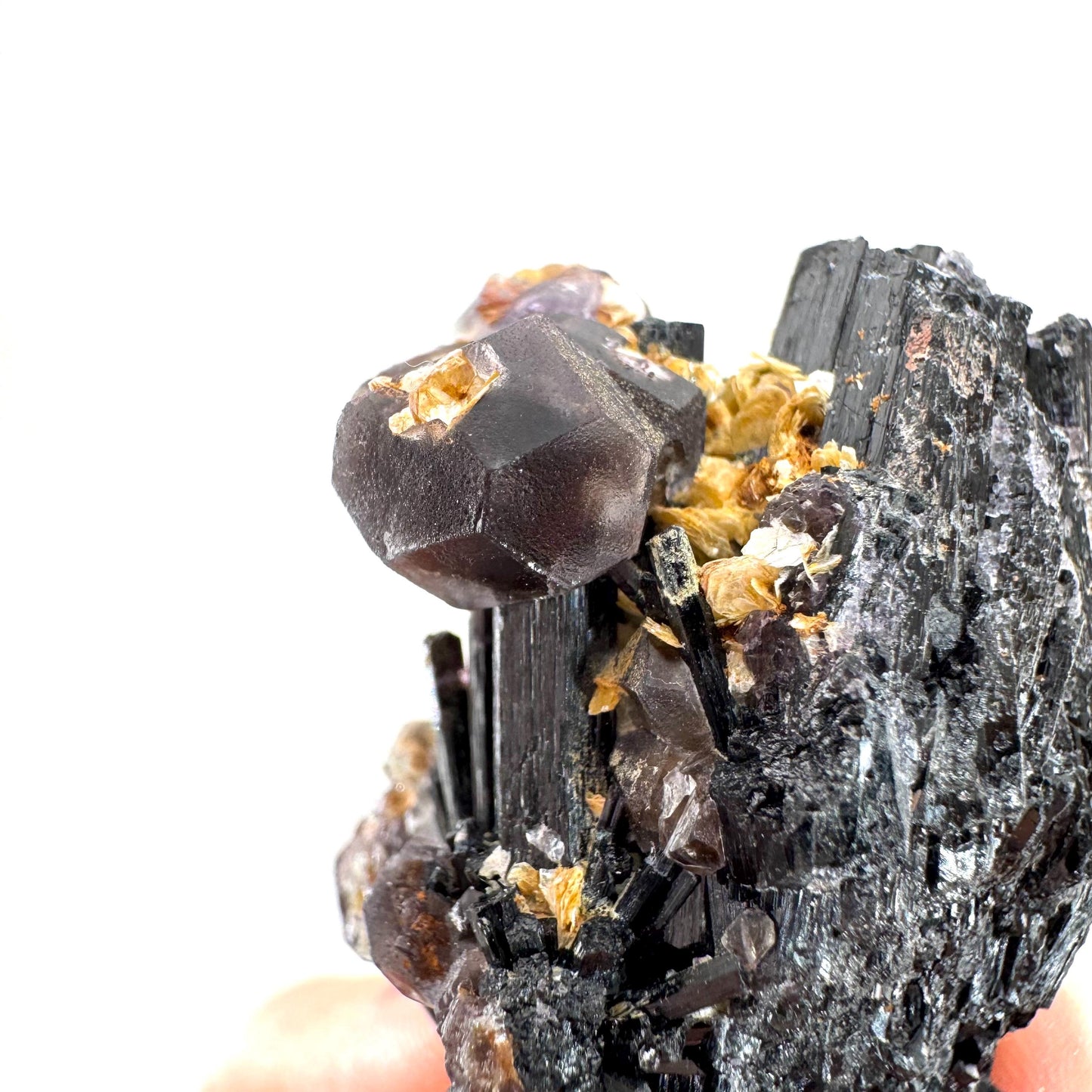 Fluorite & Hyalite Opal on Black Tourmaline | chocolate brown crystal cluster, Erongo mineral specimen