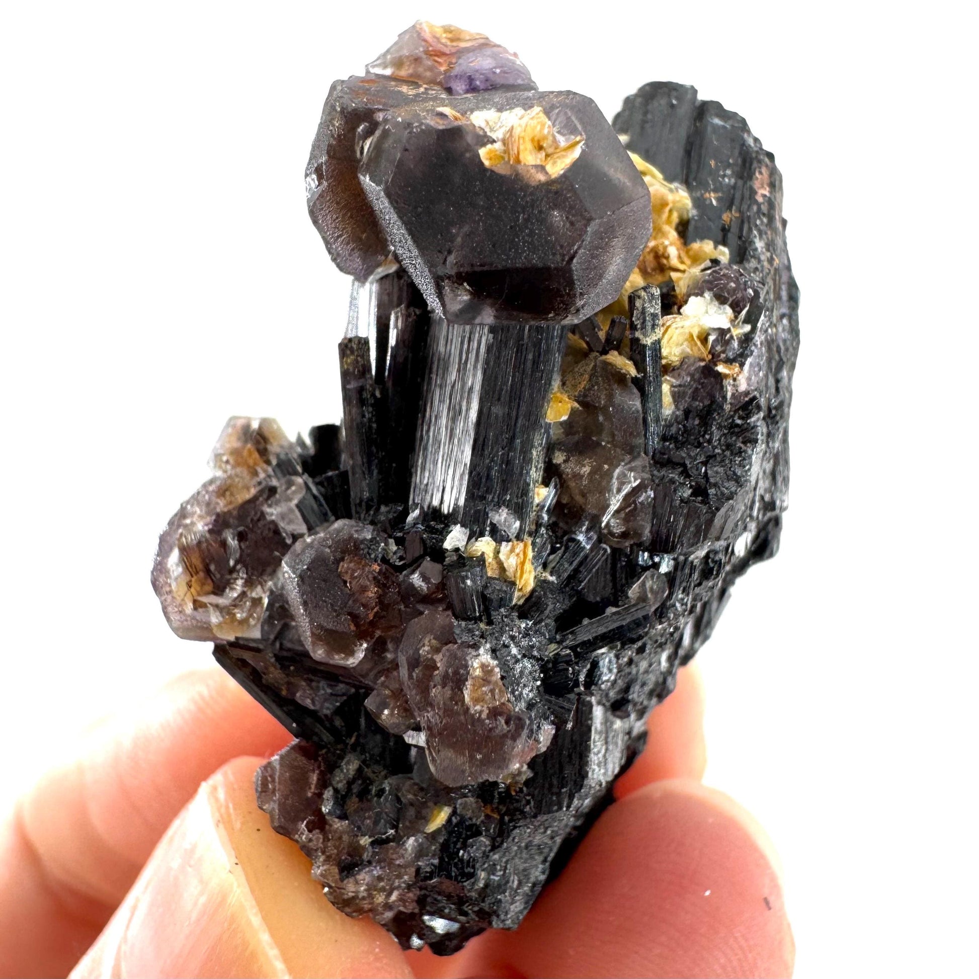 Fluorite & Hyalite Opal on Black Tourmaline | chocolate brown crystal cluster, Erongo mineral specimen