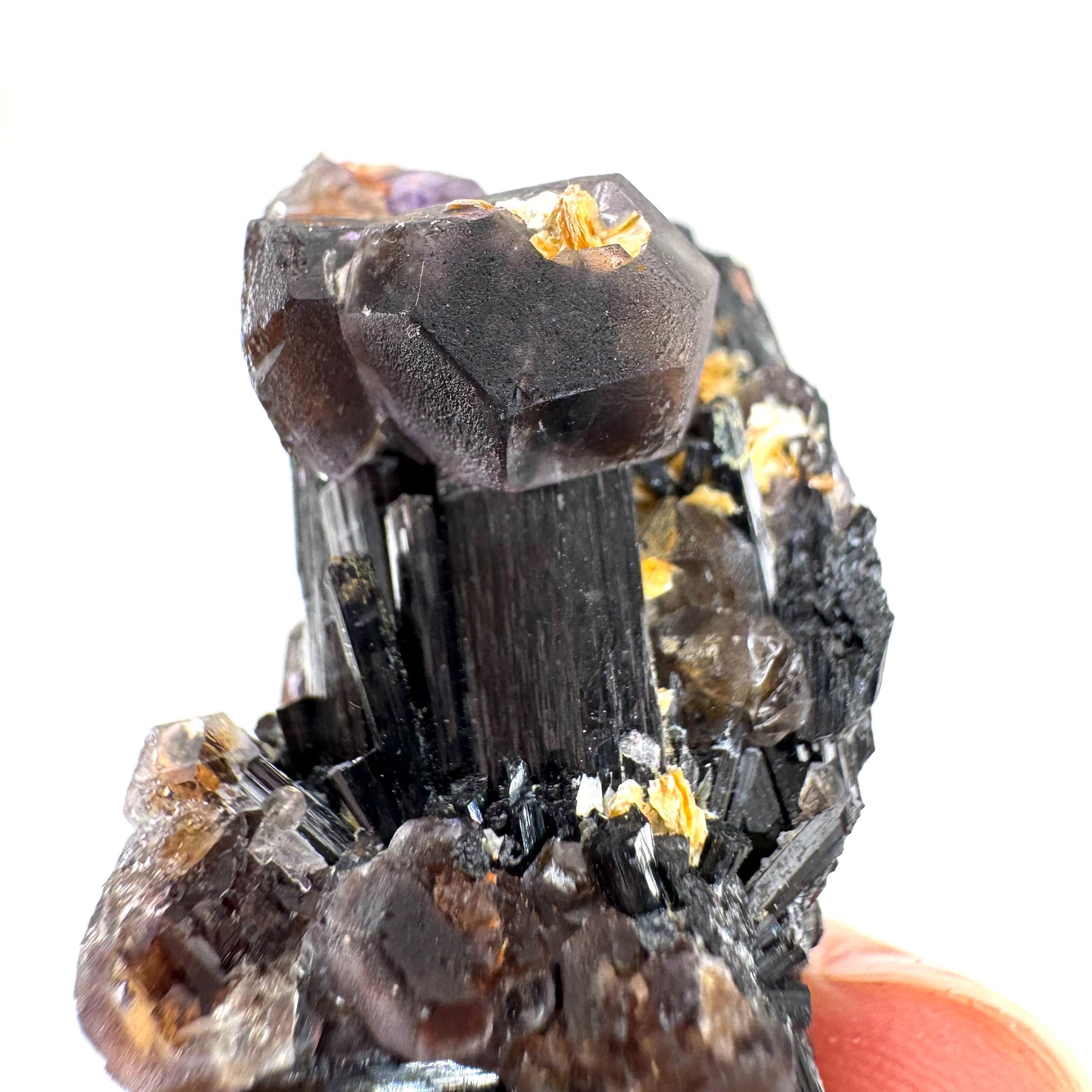 Fluorite & Hyalite Opal on Black Tourmaline | chocolate brown crystal cluster, Erongo mineral specimen
