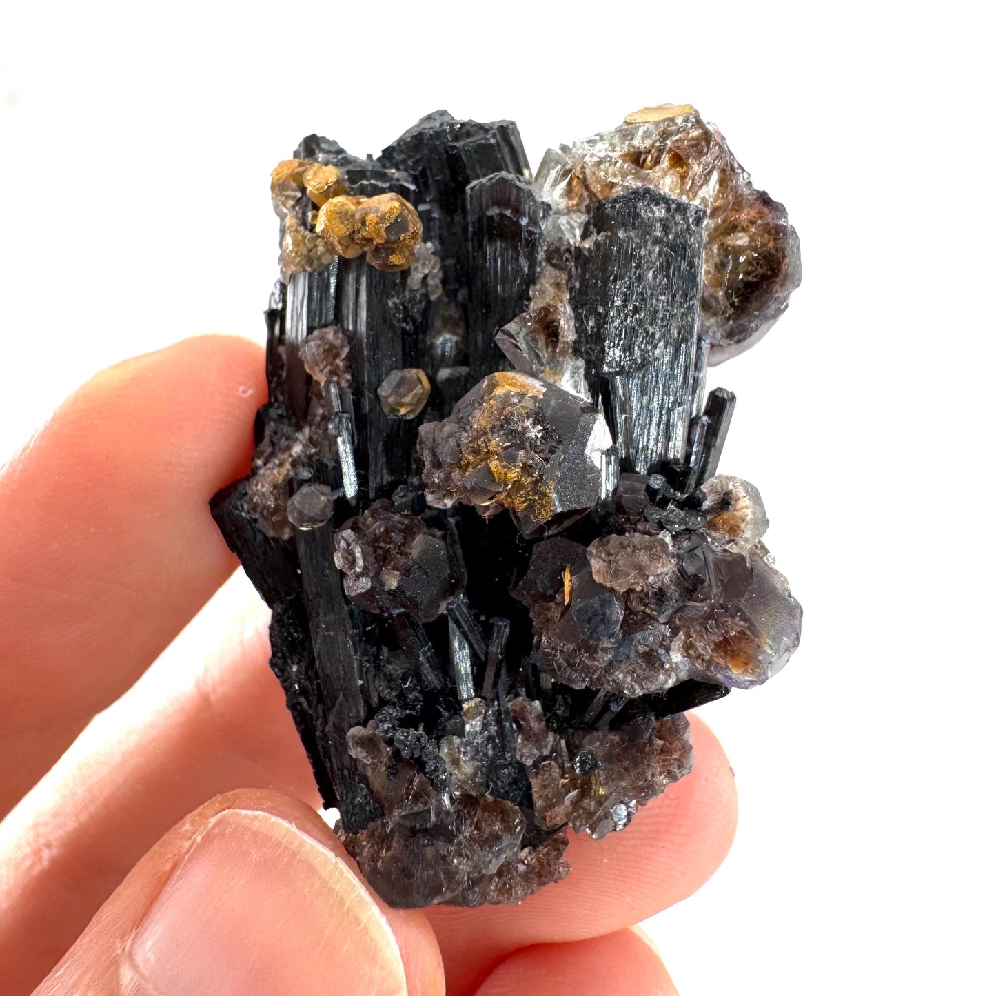 Fluorite & Hyalite Opal on Black Tourmaline | chocolate brown crystal cluster, Erongo mineral specimen