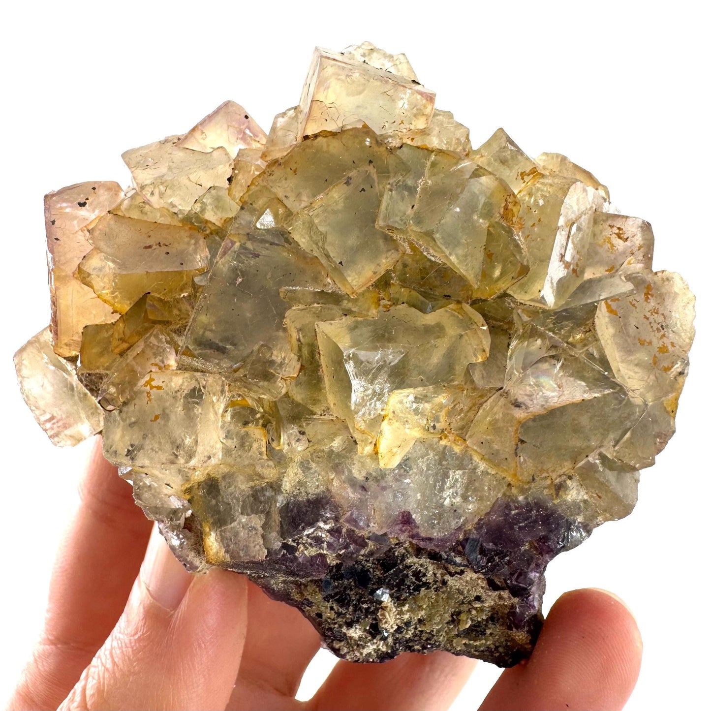 Okorusu Fluorite | yellow & purple crystal cluster, mineral specimen from Namibia