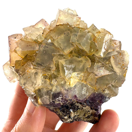 Okorusu Fluorite | yellow & purple crystal cluster, mineral specimen from Namibia