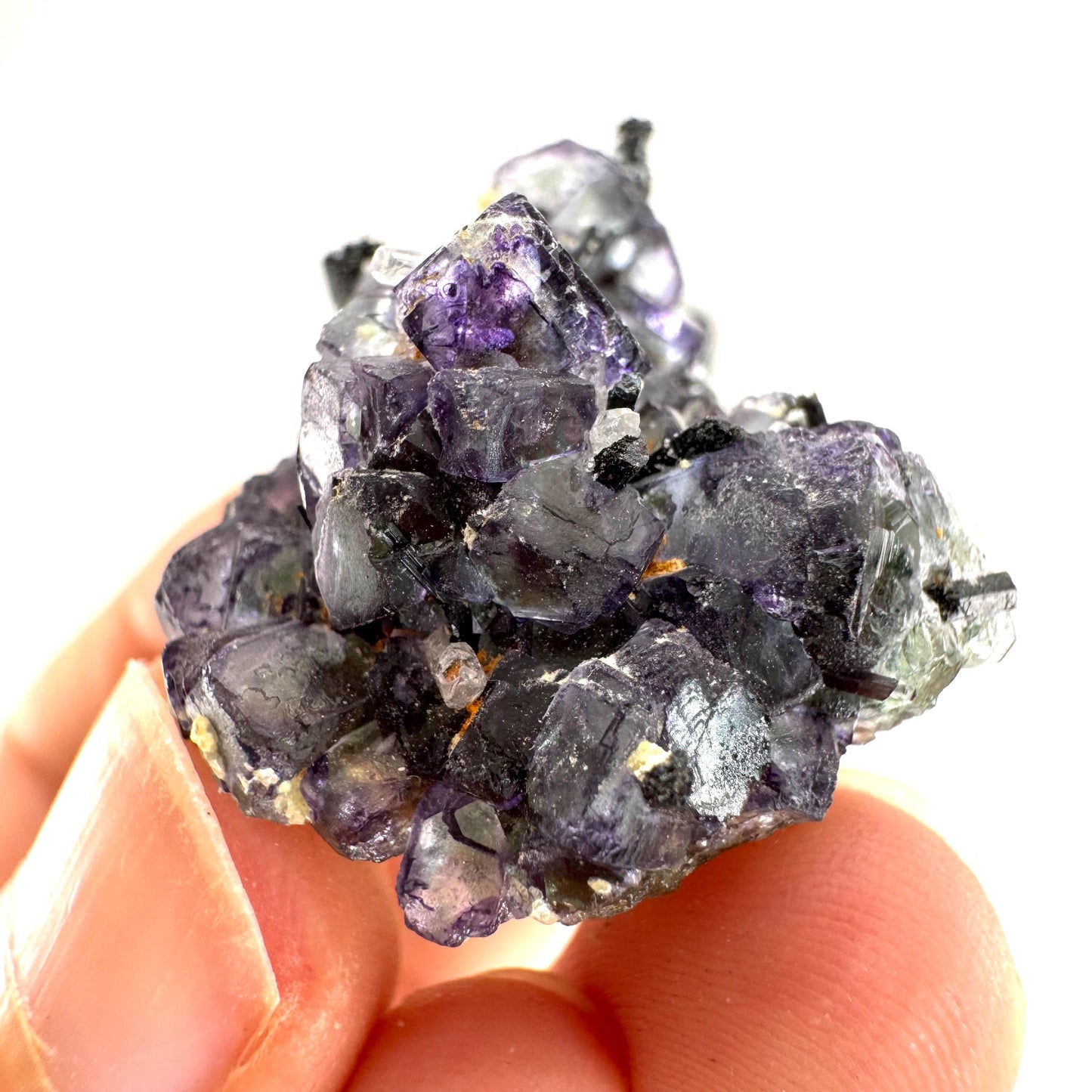 Fluorite w/ Schorl, & Beryl | “Lollipop pocket”, purple crystal cluster, Erongo mineral specimen