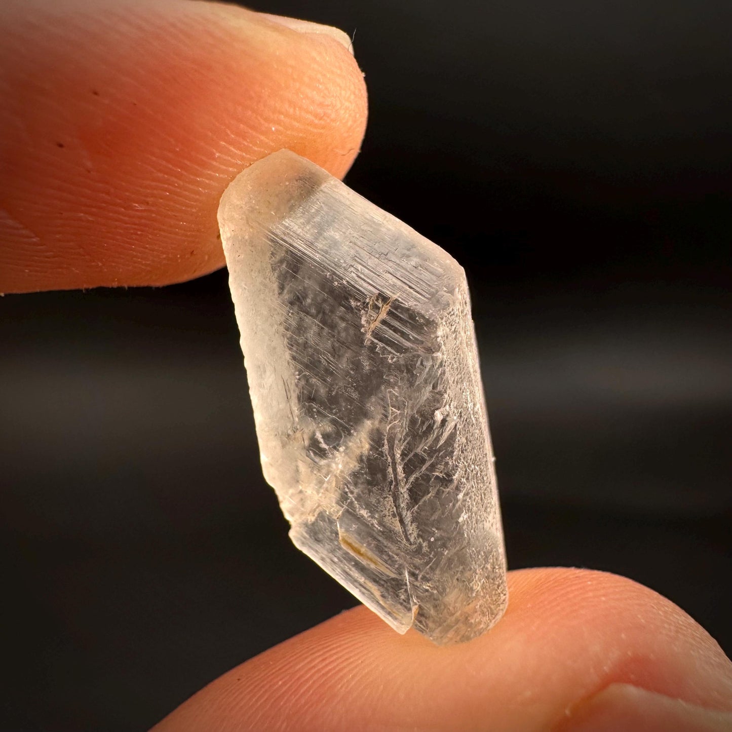 Hourglass Selenite | Phosphorescent UV Reactive Gypsum Crystal from Canada