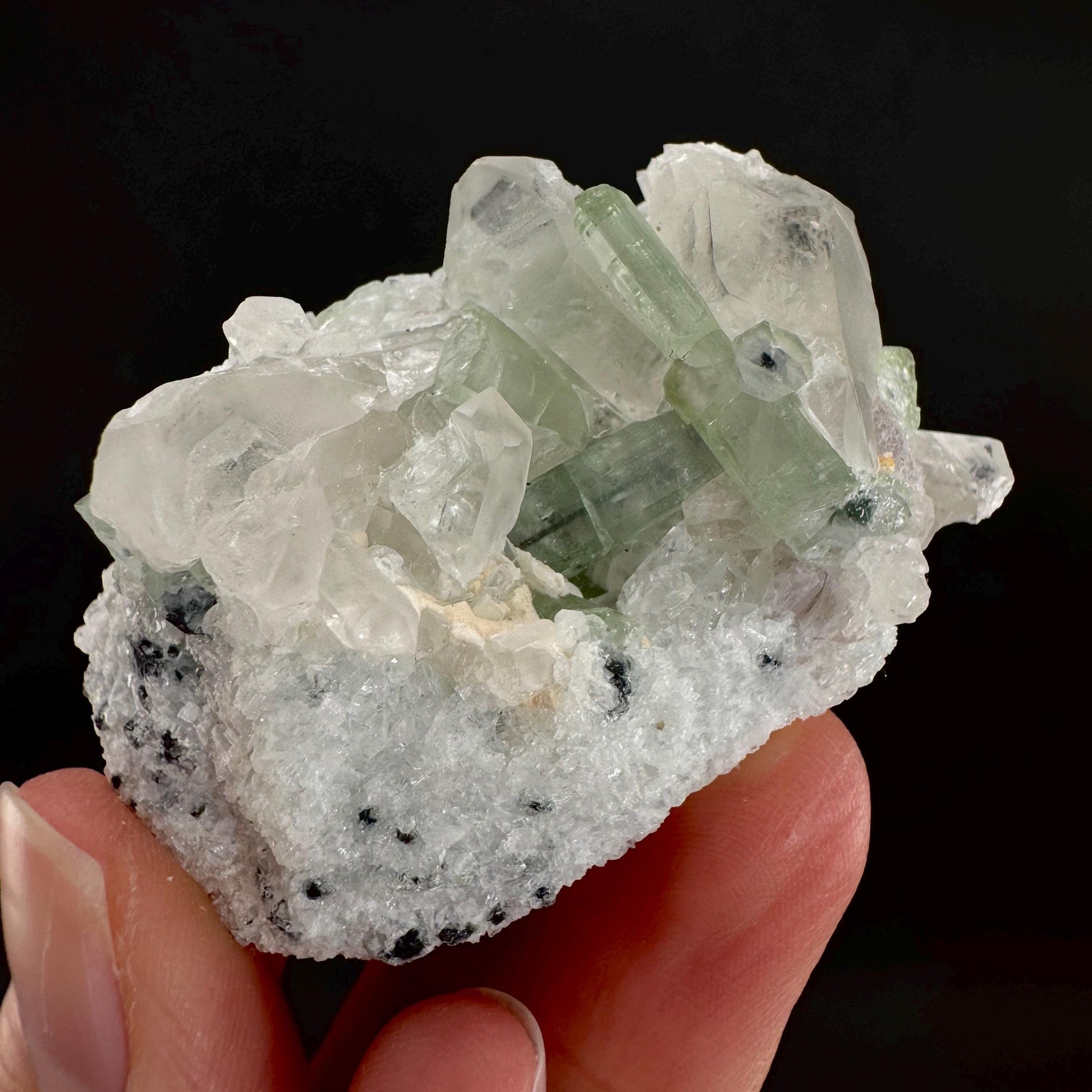Tourmaline on Quartz | Natural Green Crystal, Mineral Specimen from Pakistan