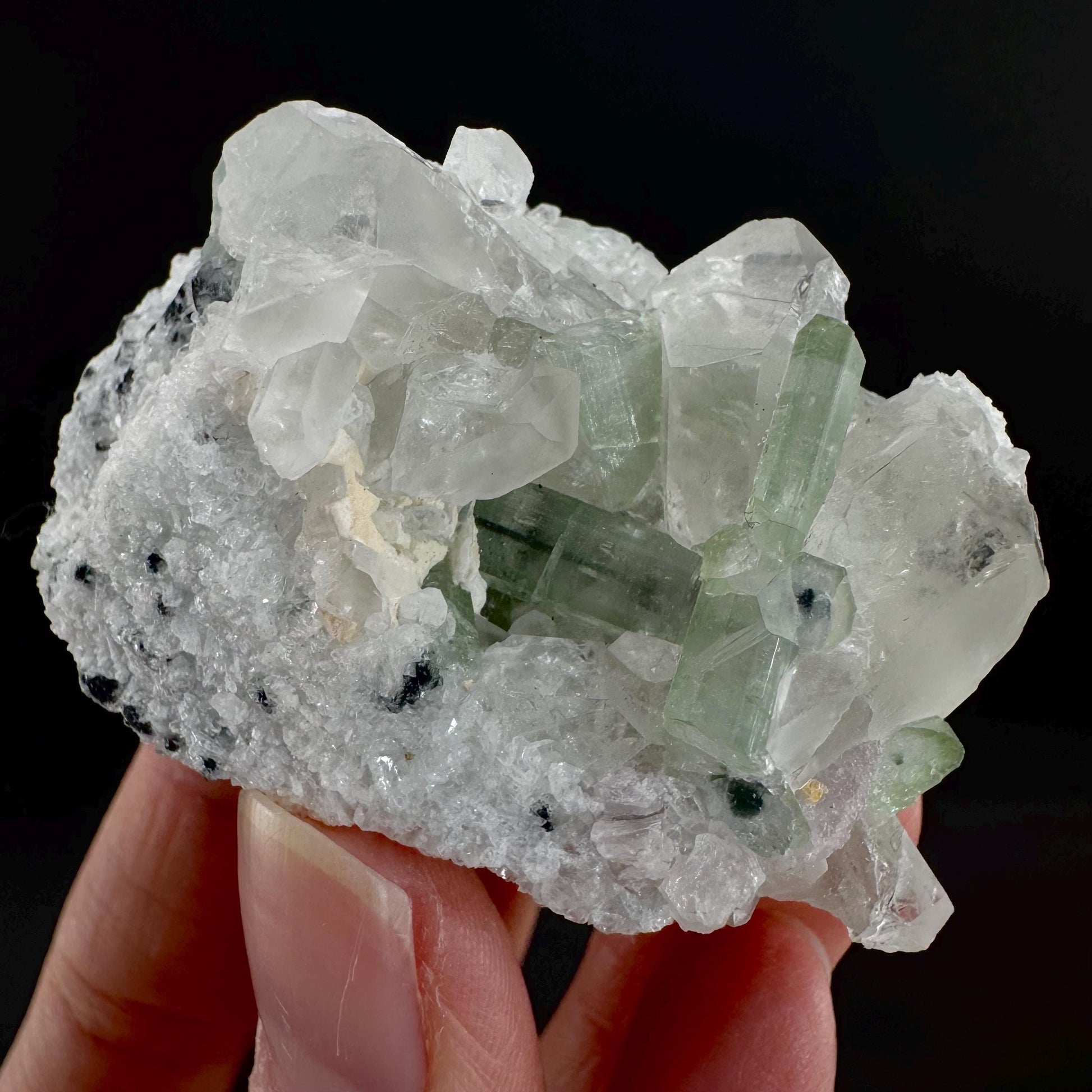 Tourmaline on Quartz | Natural Green Crystal, Mineral Specimen from Pakistan