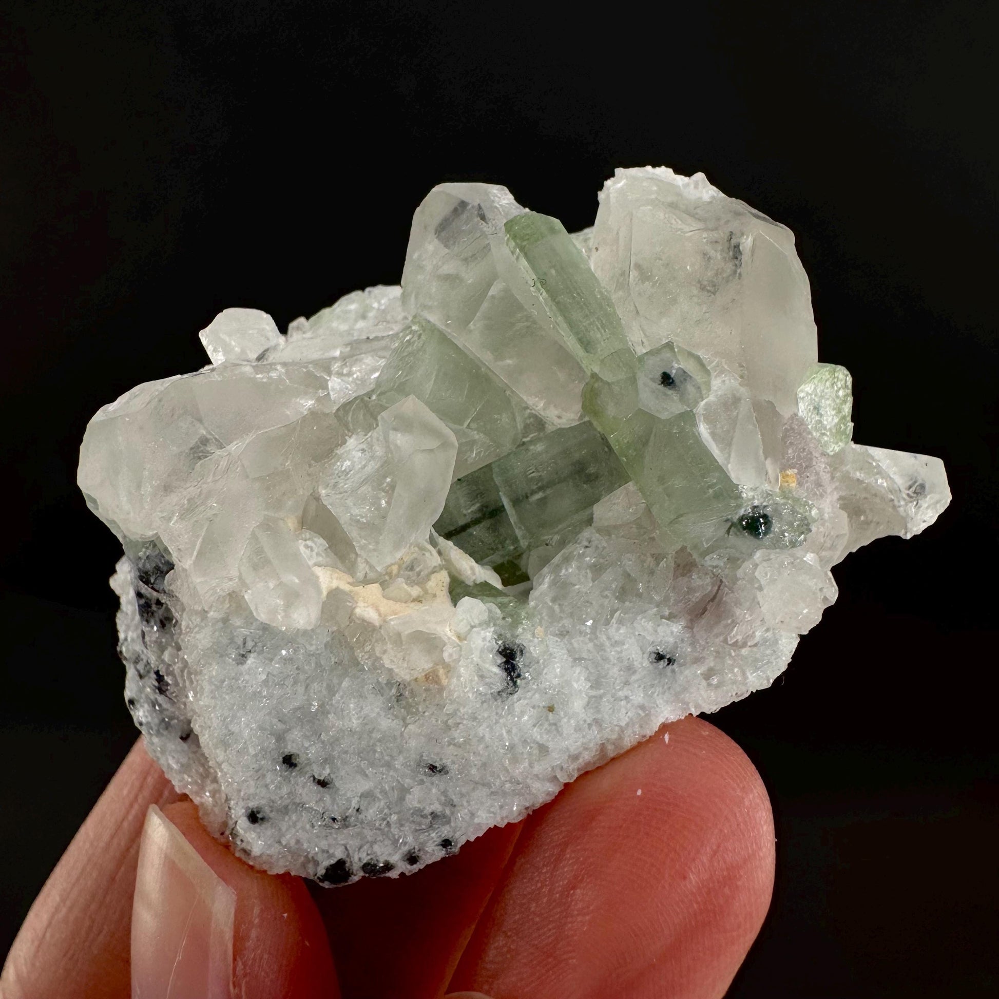 Tourmaline on Quartz | Natural Green Crystal, Mineral Specimen from Pakistan