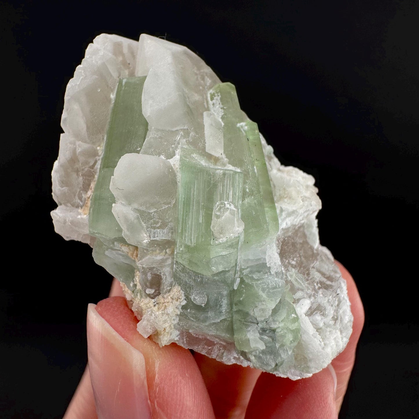 Tourmaline on Quartz | Natural Green Crystal, Mineral Specimen from Pakistan