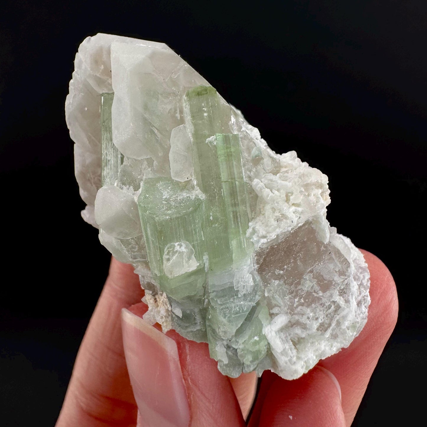 Tourmaline on Quartz | Natural Green Crystal, Mineral Specimen from Pakistan