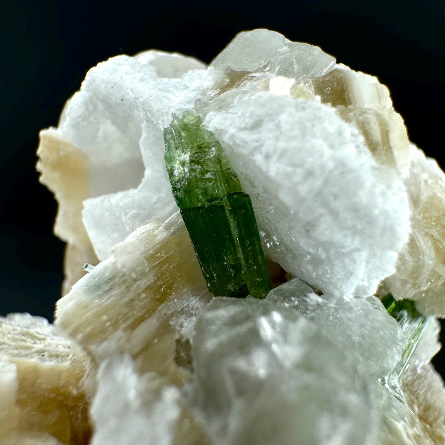 Tourmaline with Fluorapatite & Muscovite | Green Crystal, Mineral Specimen from Pakistan