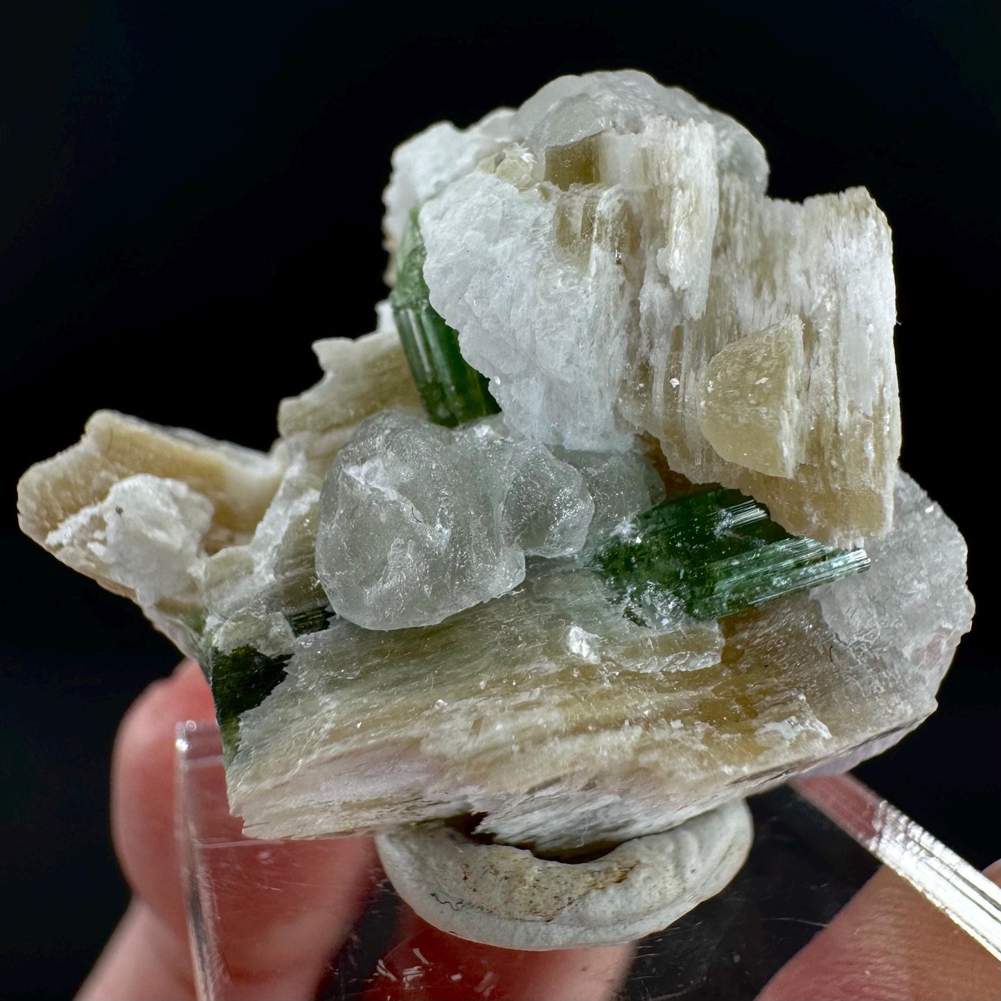 Tourmaline with Fluorapatite & Muscovite | Green Crystal, Mineral Specimen from Pakistan