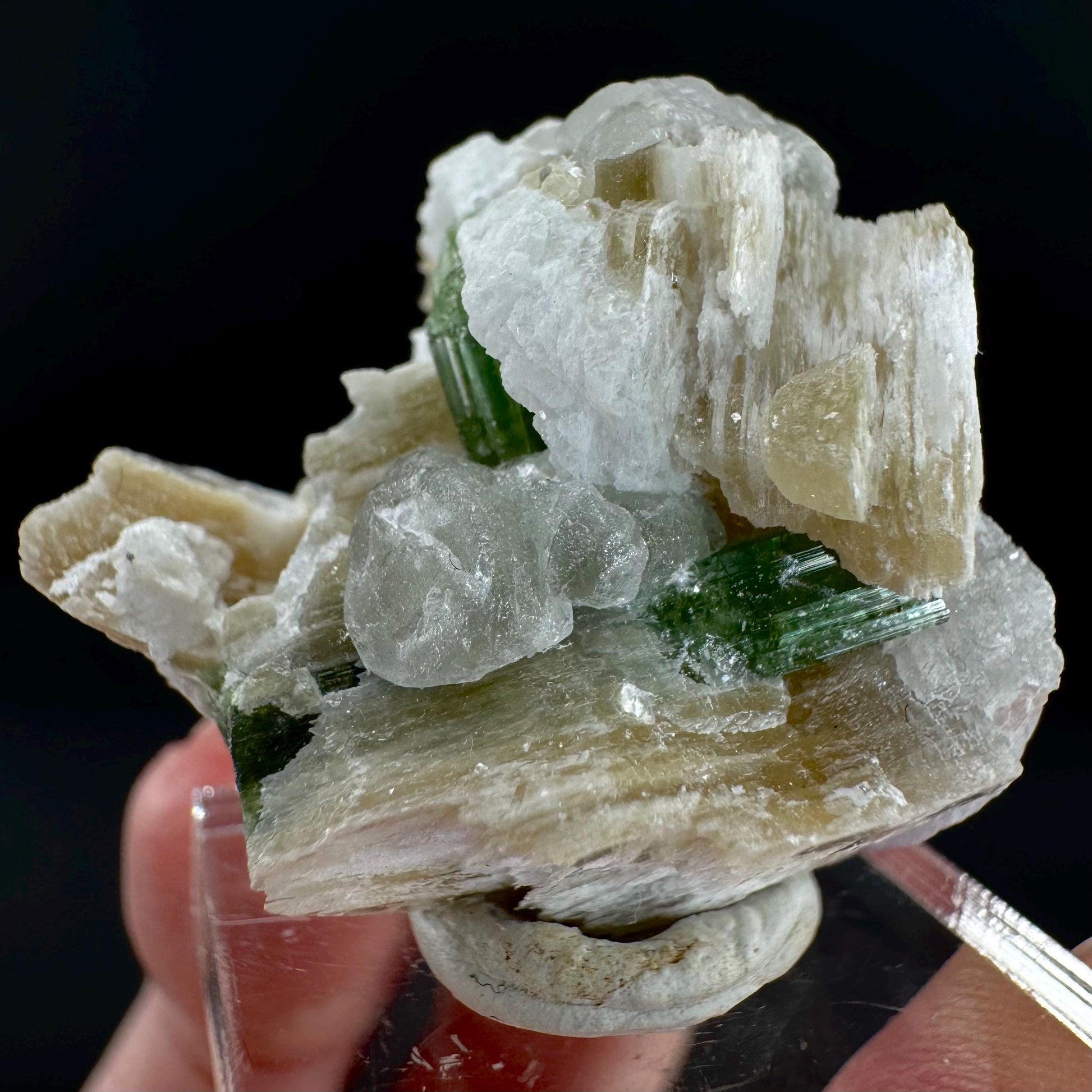 Tourmaline with Fluorapatite & Muscovite | Green Crystal, Mineral Specimen from Pakistan