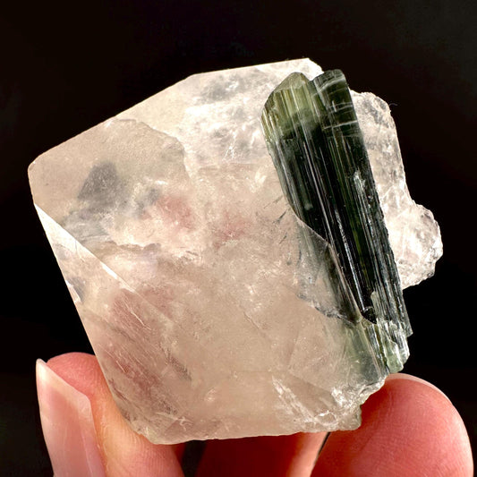 Tourmaline on Quartz | Natural Green Crystal, Mineral Specimen from Pakistan