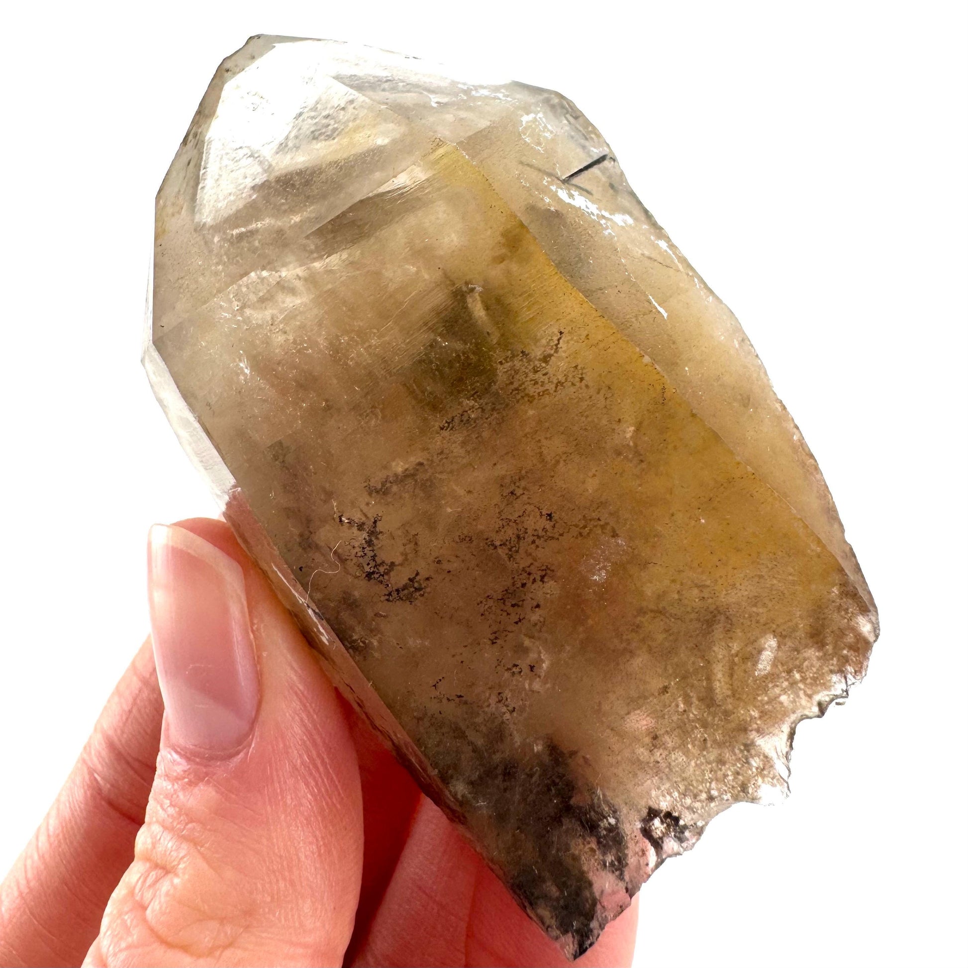 Black Tourmaline in Smoky Quartz | schorl crystal cluster, mineral specimen from Namibia