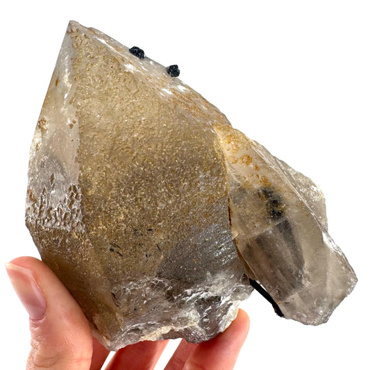 Black Tourmaline on Smoky Quartz | schorl crystal cluster, mineral specimen from Namibia