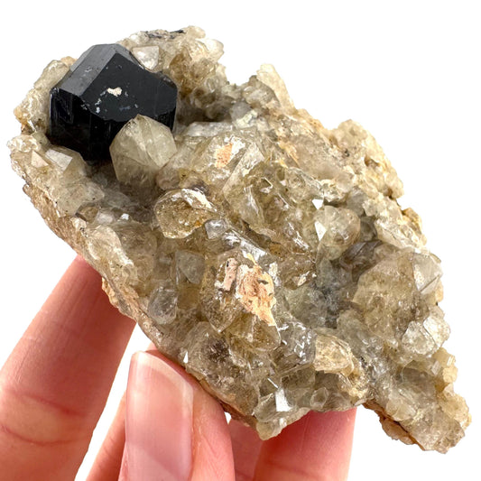 Black Tourmaline on Smoky Quartz | schorl crystal cluster, mineral specimen from Namibia