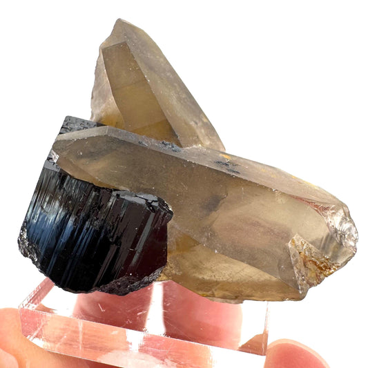 Black Tourmaline on Smoky Quartz | schorl crystal cluster, mineral specimen from Namibia