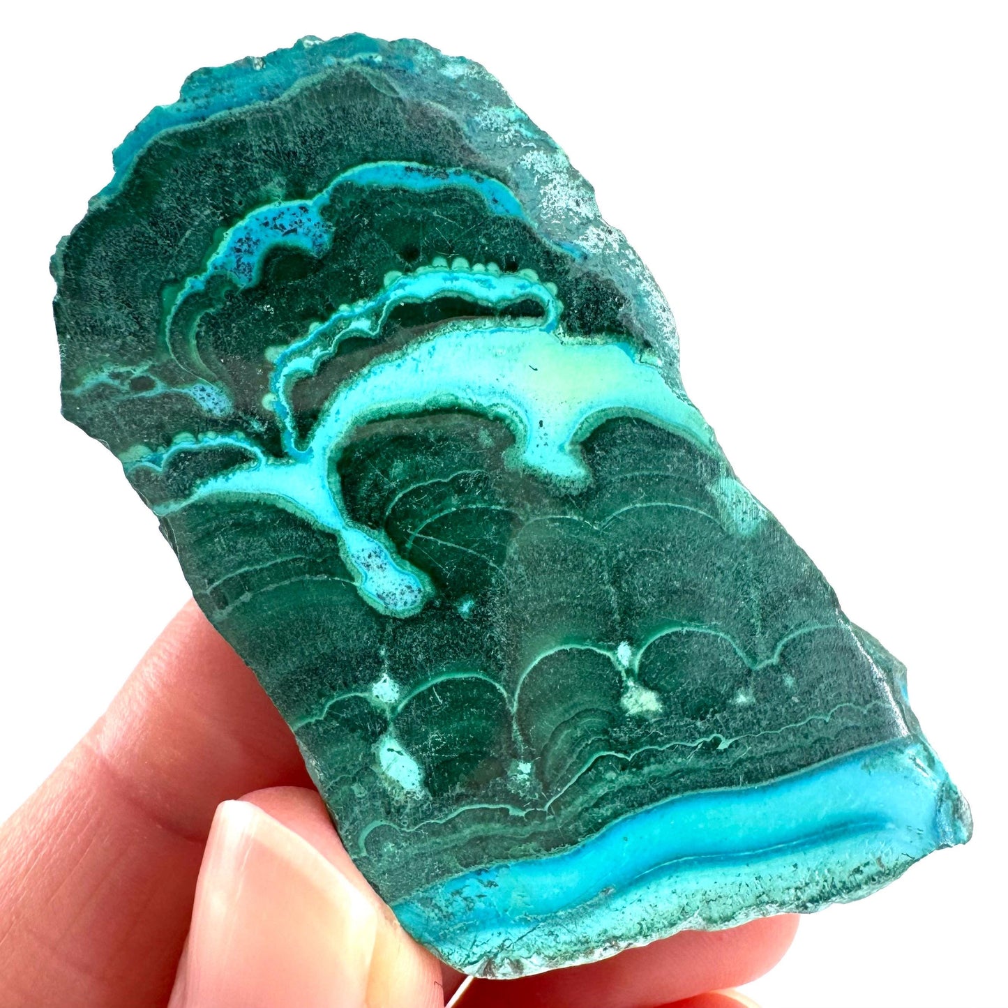 Malachite & Chrysocolla Slice | Polished Malacolla Crystal Slab