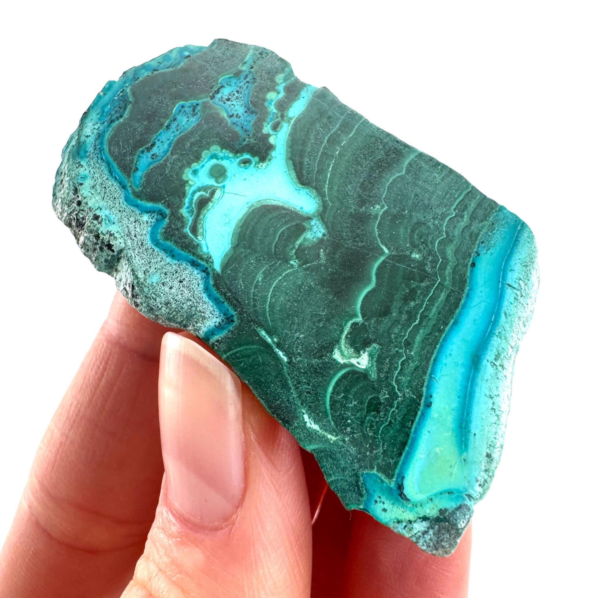 Malachite & Chrysocolla Slice | Polished Malacolla Crystal Slab