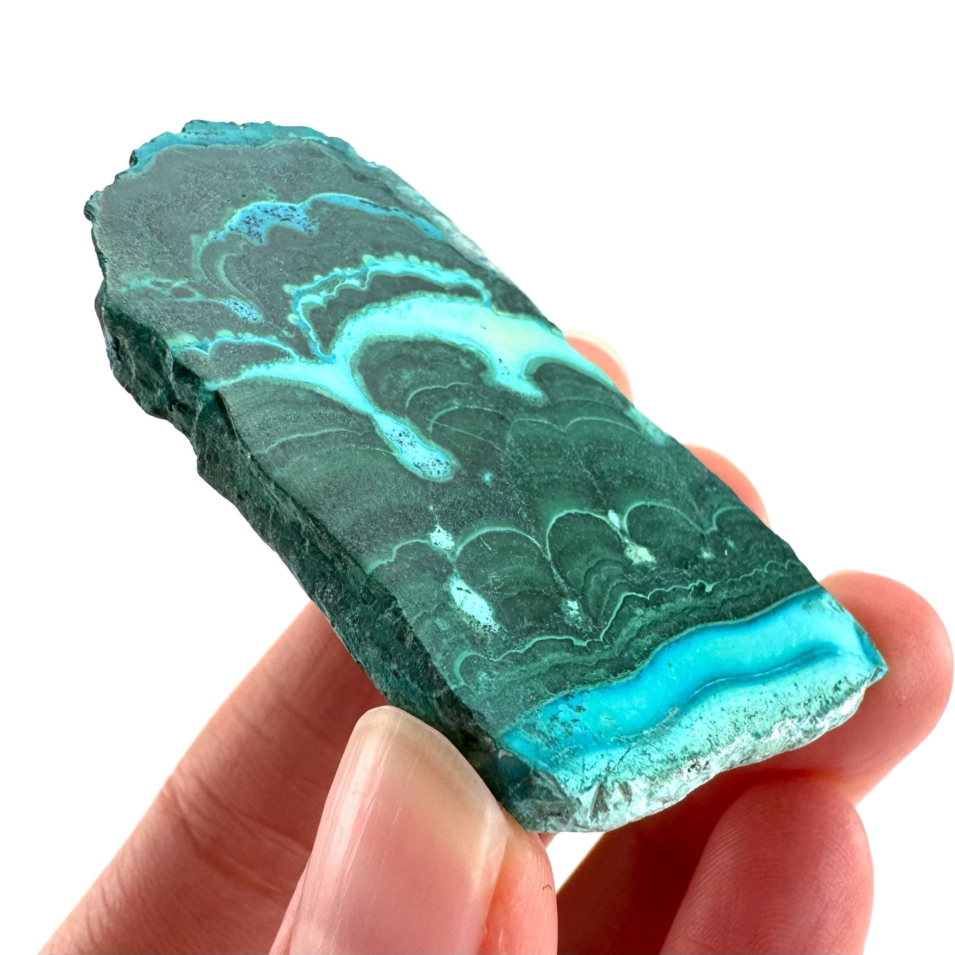 Malachite & Chrysocolla Slice | Polished Malacolla Crystal Slab