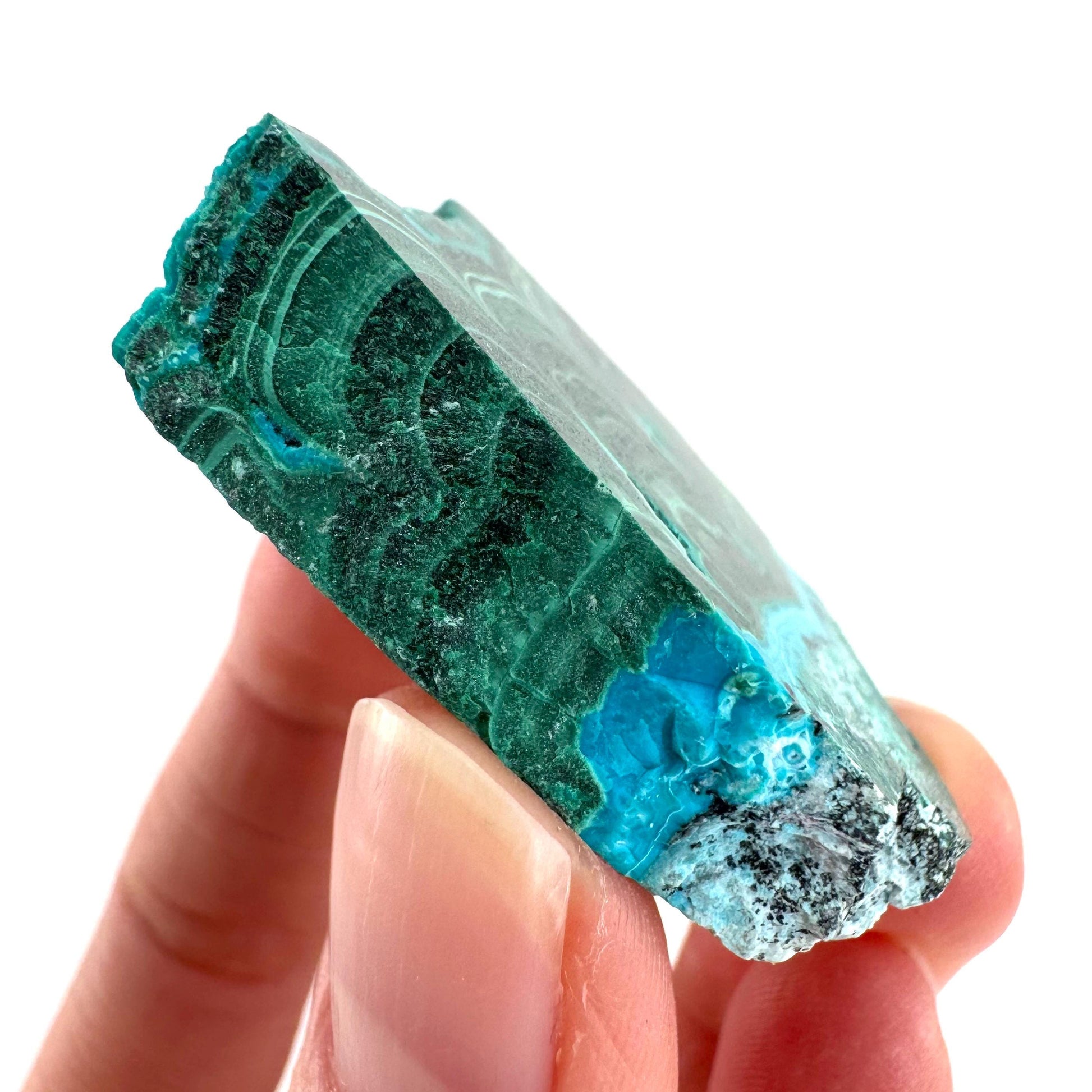 Malachite & Chrysocolla Slice | Polished Malacolla Crystal Slab