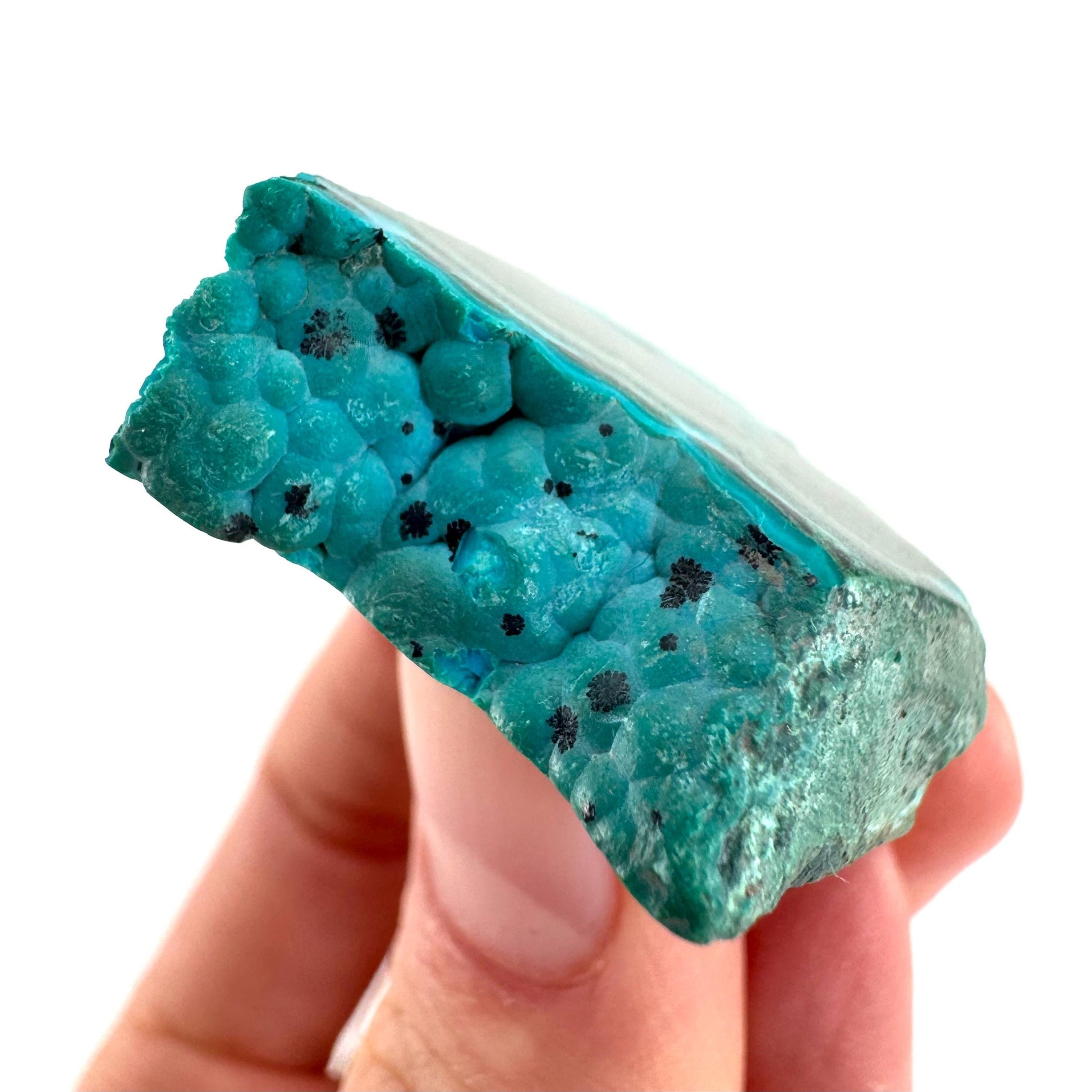 Malachite & Chrysocolla Slice | Polished Malacolla Crystal Slab