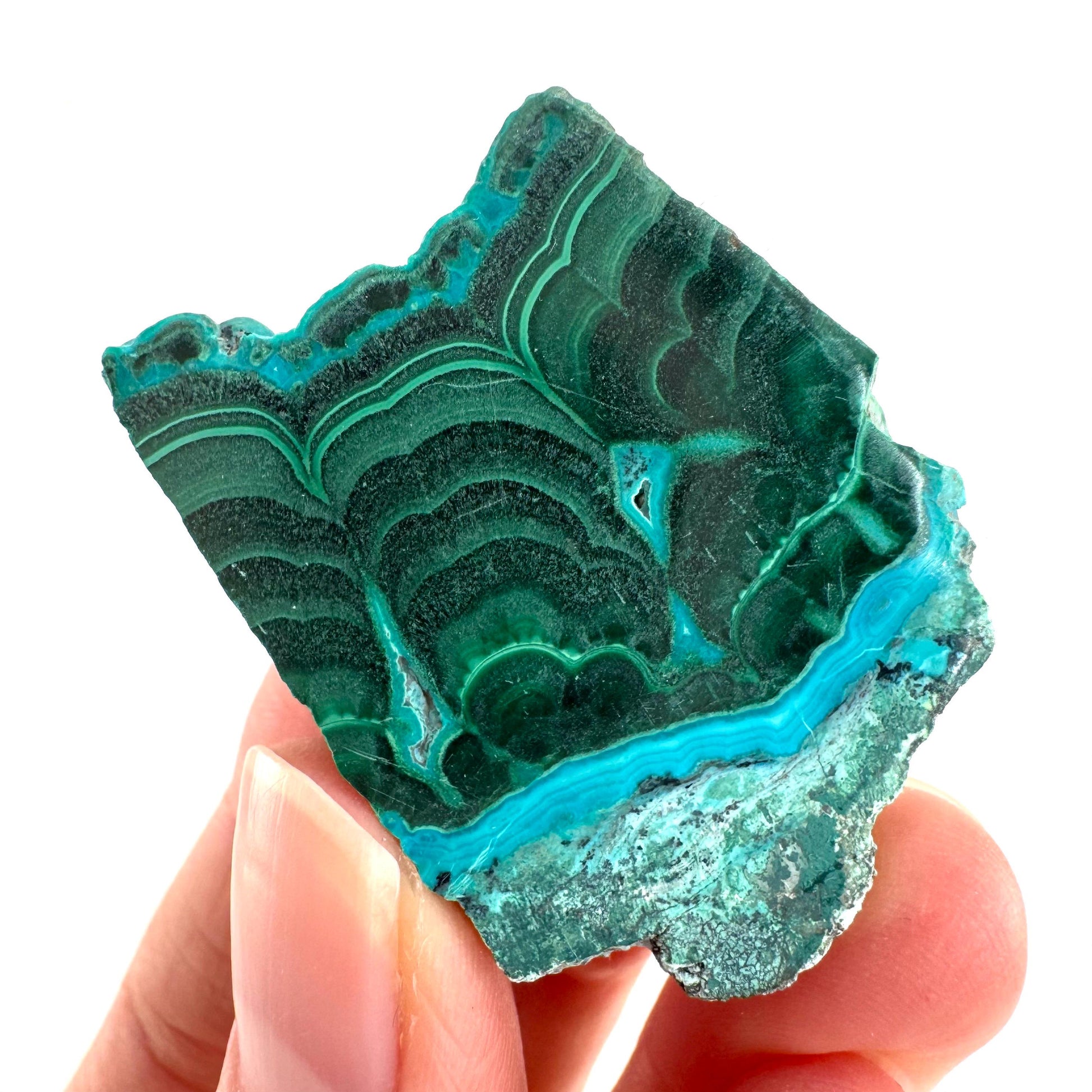 Malachite & Chrysocolla Slice | Polished Malacolla Crystal Slab
