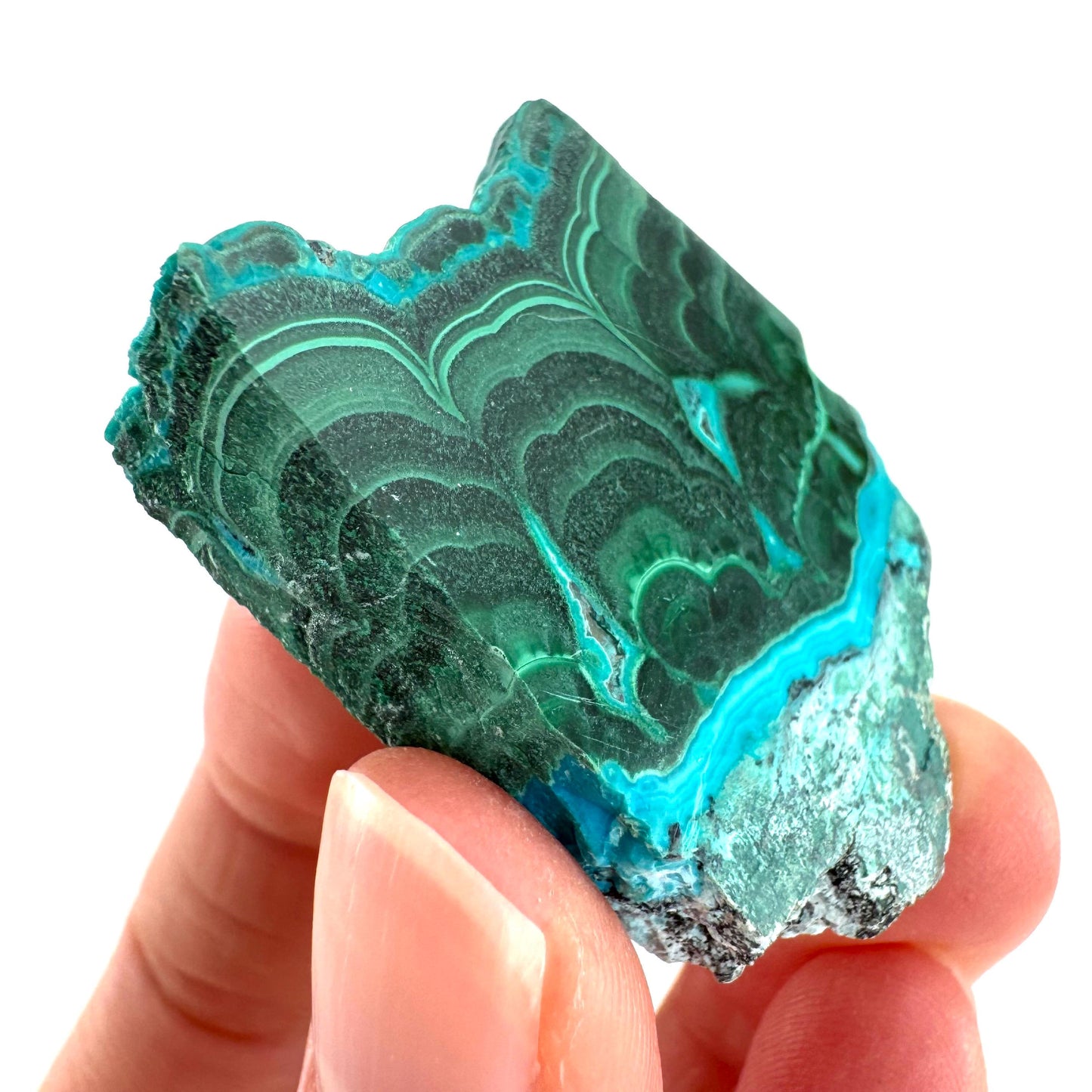 Malachite & Chrysocolla Slice | Polished Malacolla Crystal Slab