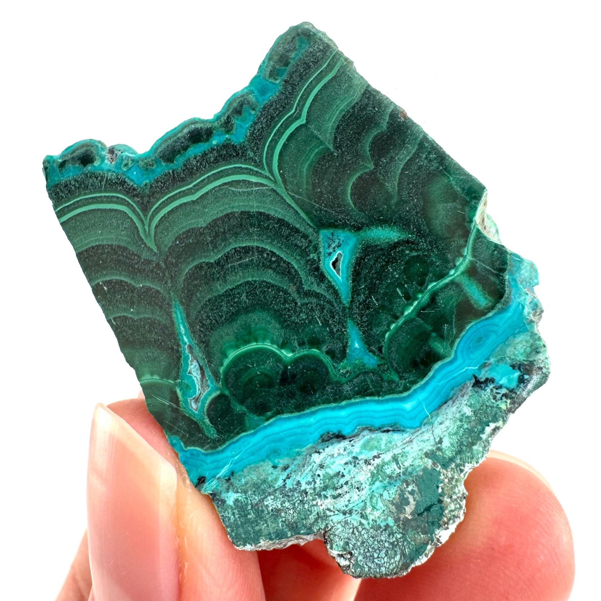 Malachite & Chrysocolla Slice | Polished Malacolla Crystal Slab