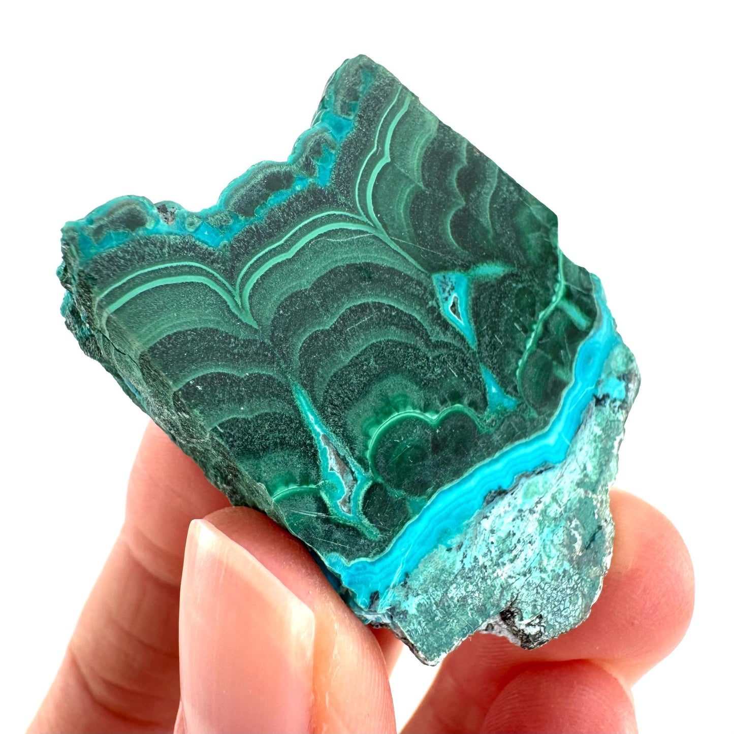 Malachite & Chrysocolla Slice | Polished Malacolla Crystal Slab