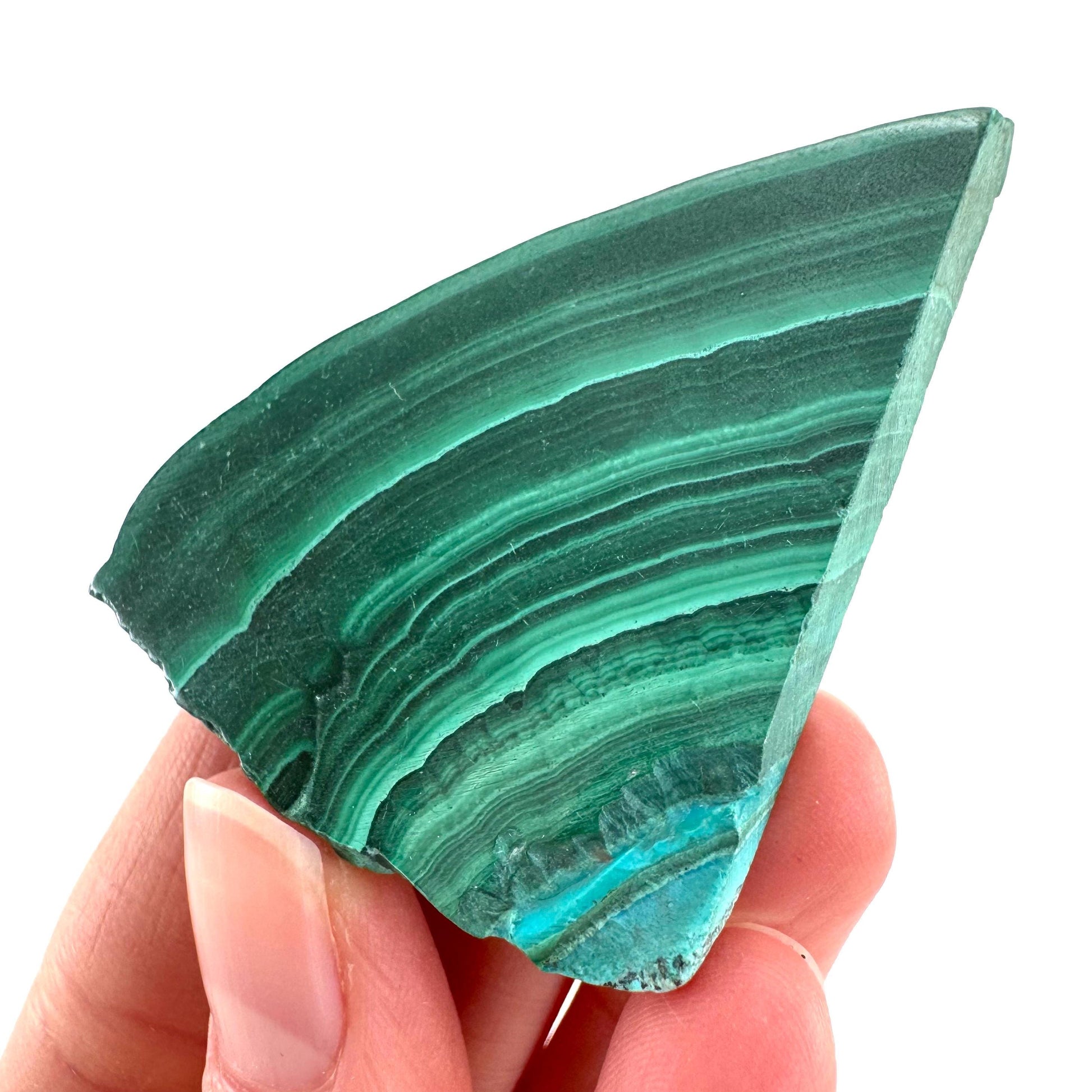 Malachite & Chrysocolla Slice | Polished Malacolla Crystal Slab