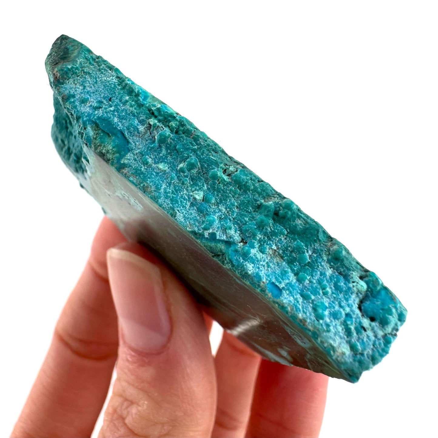 Malachite & Chrysocolla Slice | Polished Malacolla Crystal Slab