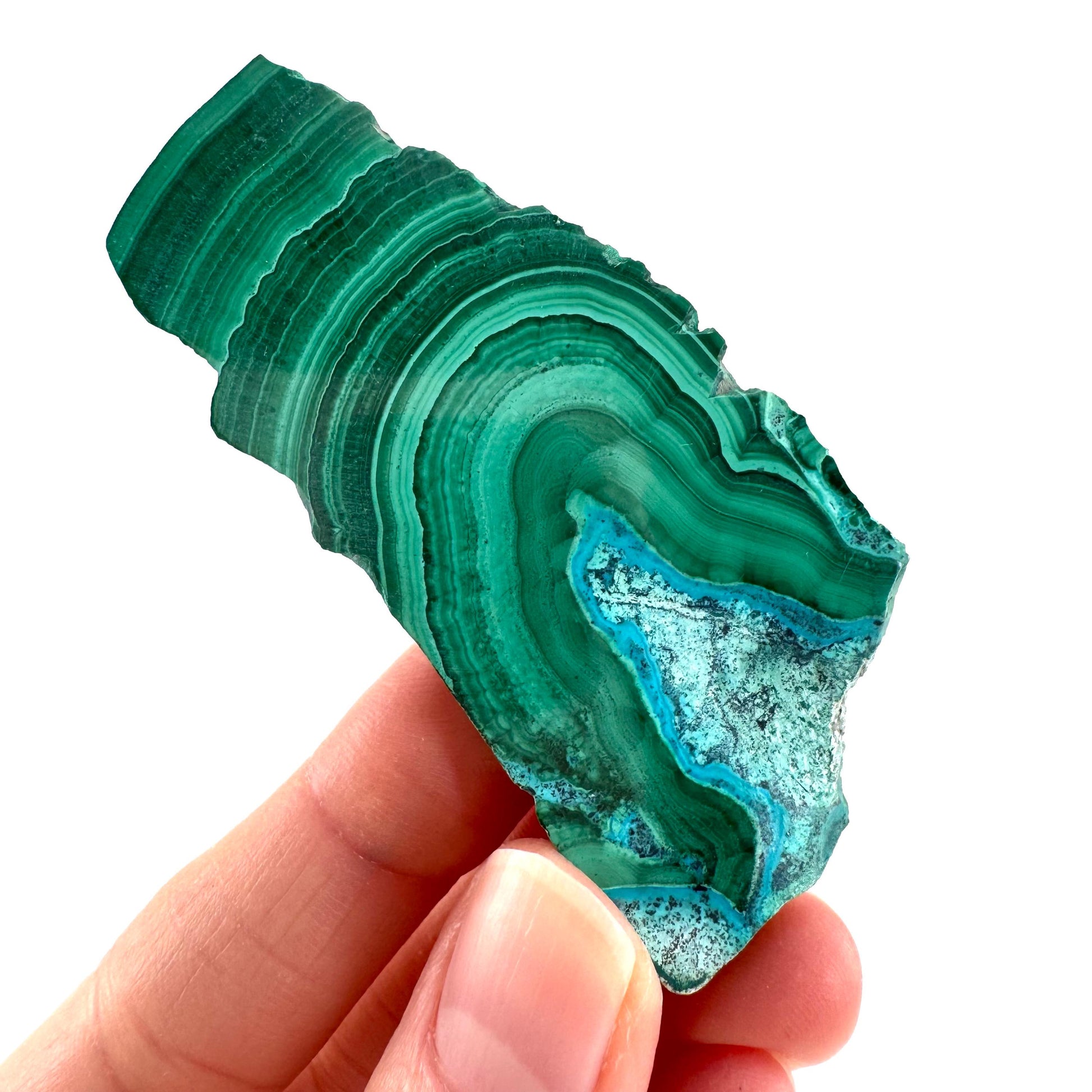 Malachite & Chrysocolla Slice | Polished Malacolla Crystal Slab
