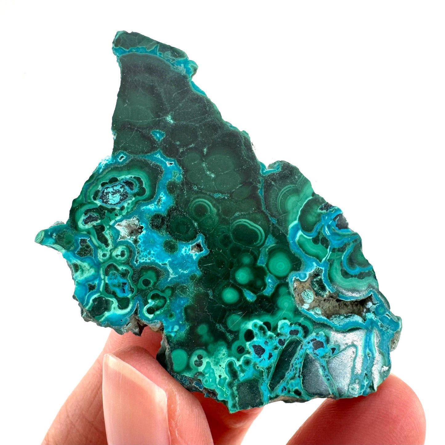 Malachite & Chrysocolla Slice | Polished Malacolla Crystal Slab