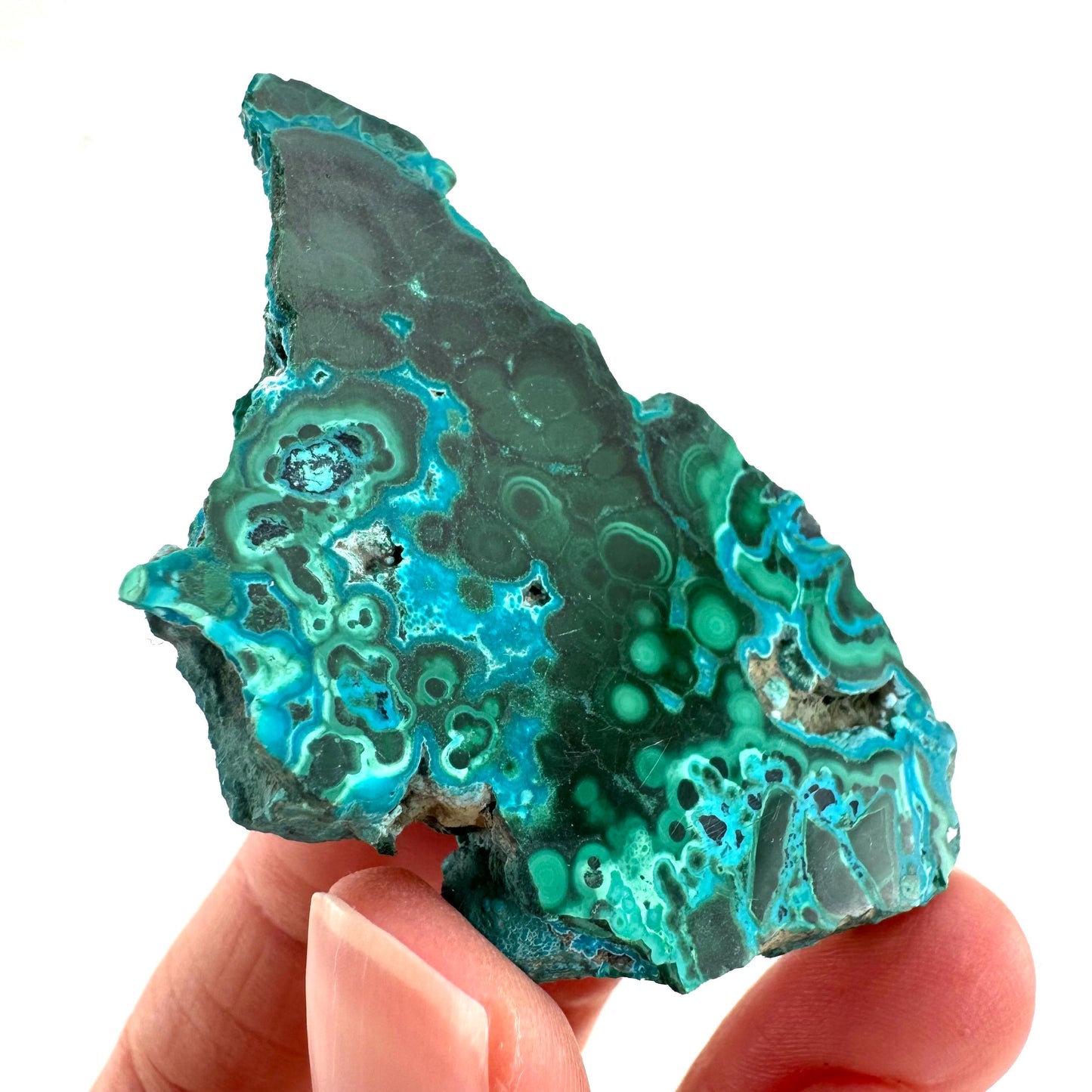 Malachite & Chrysocolla Slice | Polished Malacolla Crystal Slab