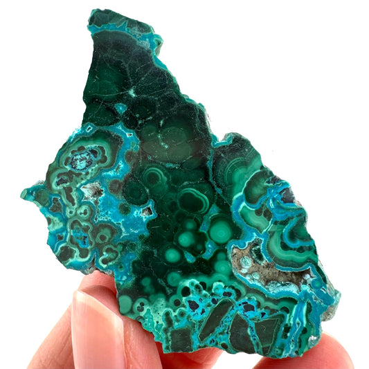 Malachite & Chrysocolla Slice | Polished Malacolla Crystal Slab