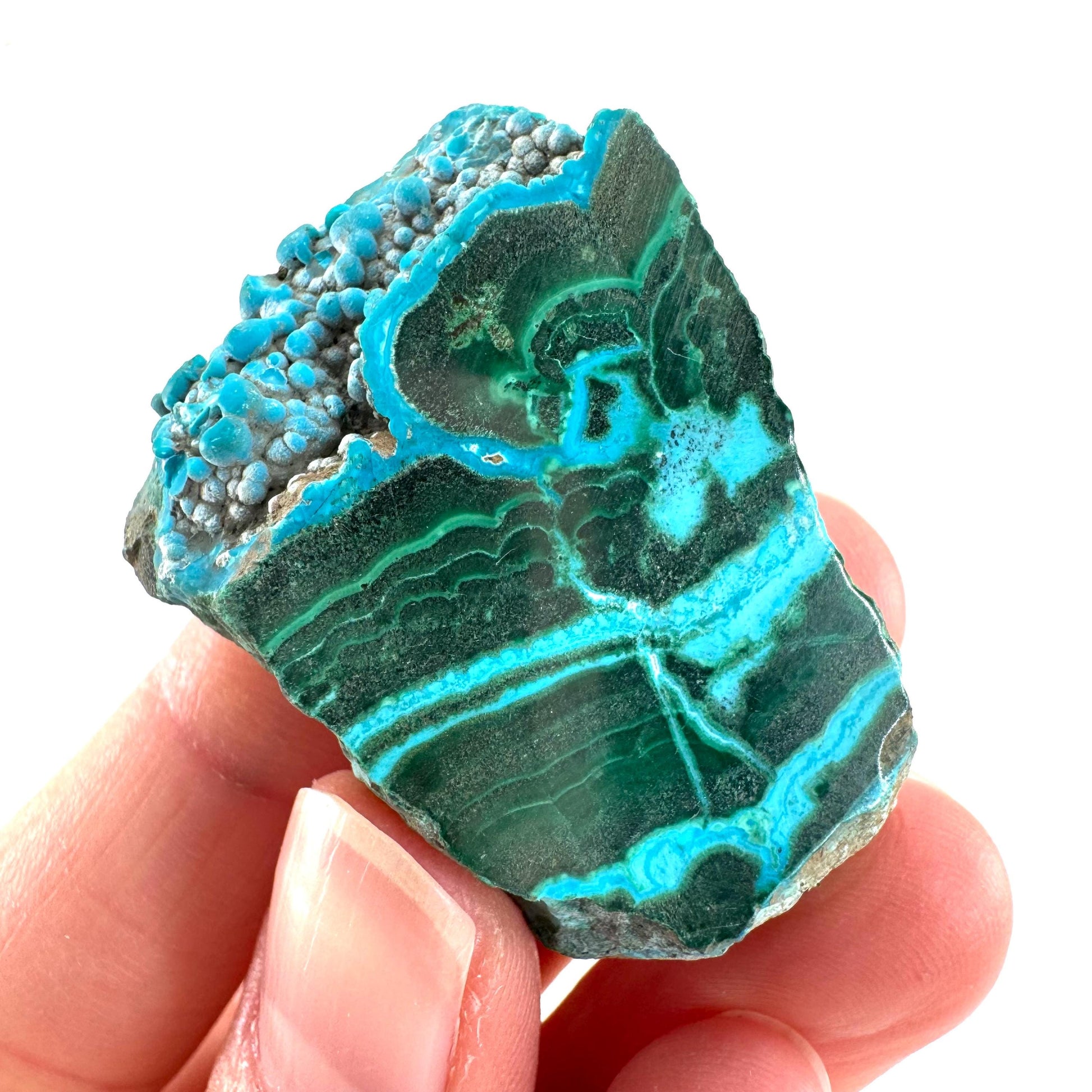 Malachite & Chrysocolla Slice | Polished Malacolla Crystal Slab
