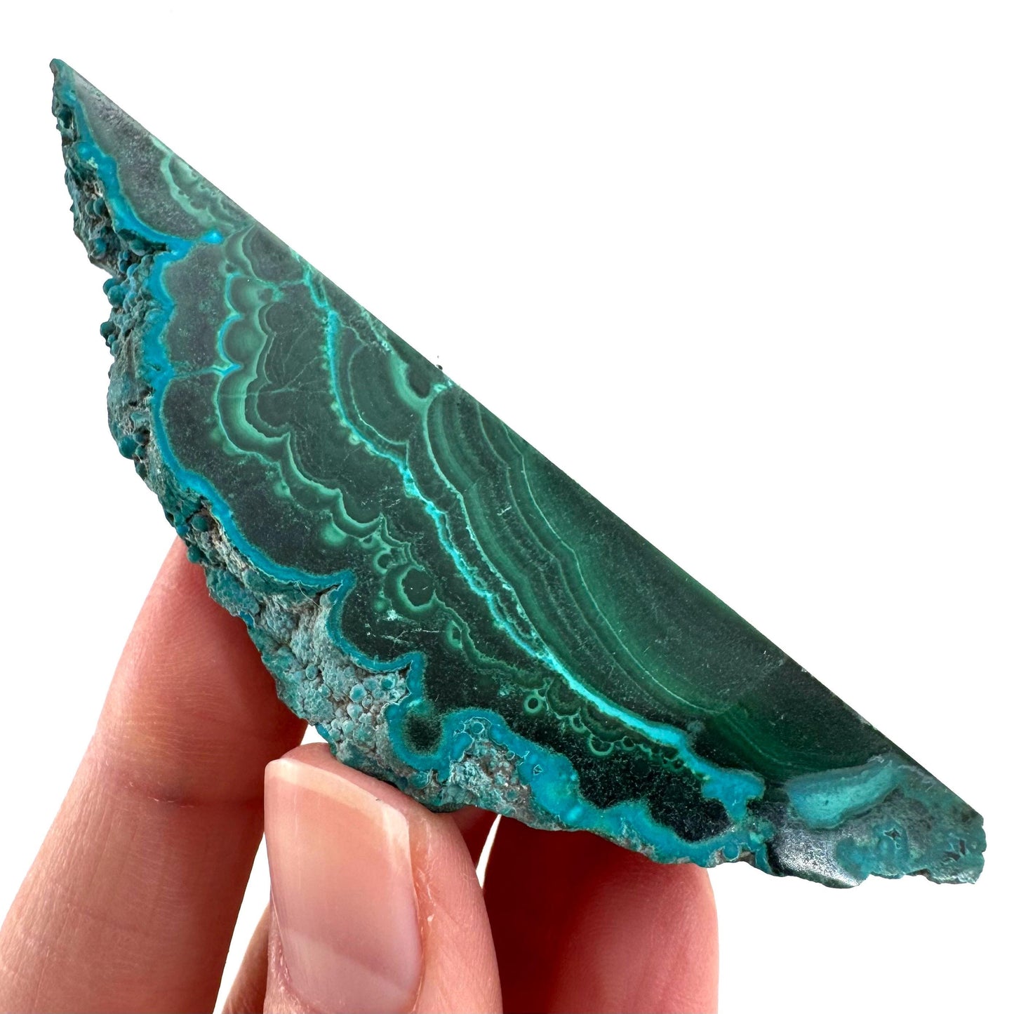 Malachite & Chrysocolla Slice | Polished Malacolla Crystal Slab