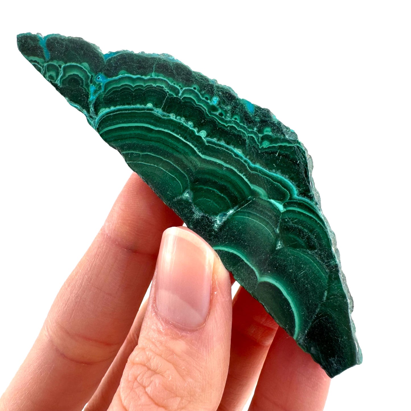 Malachite & Chrysocolla Slice | Polished Malacolla Crystal Slab
