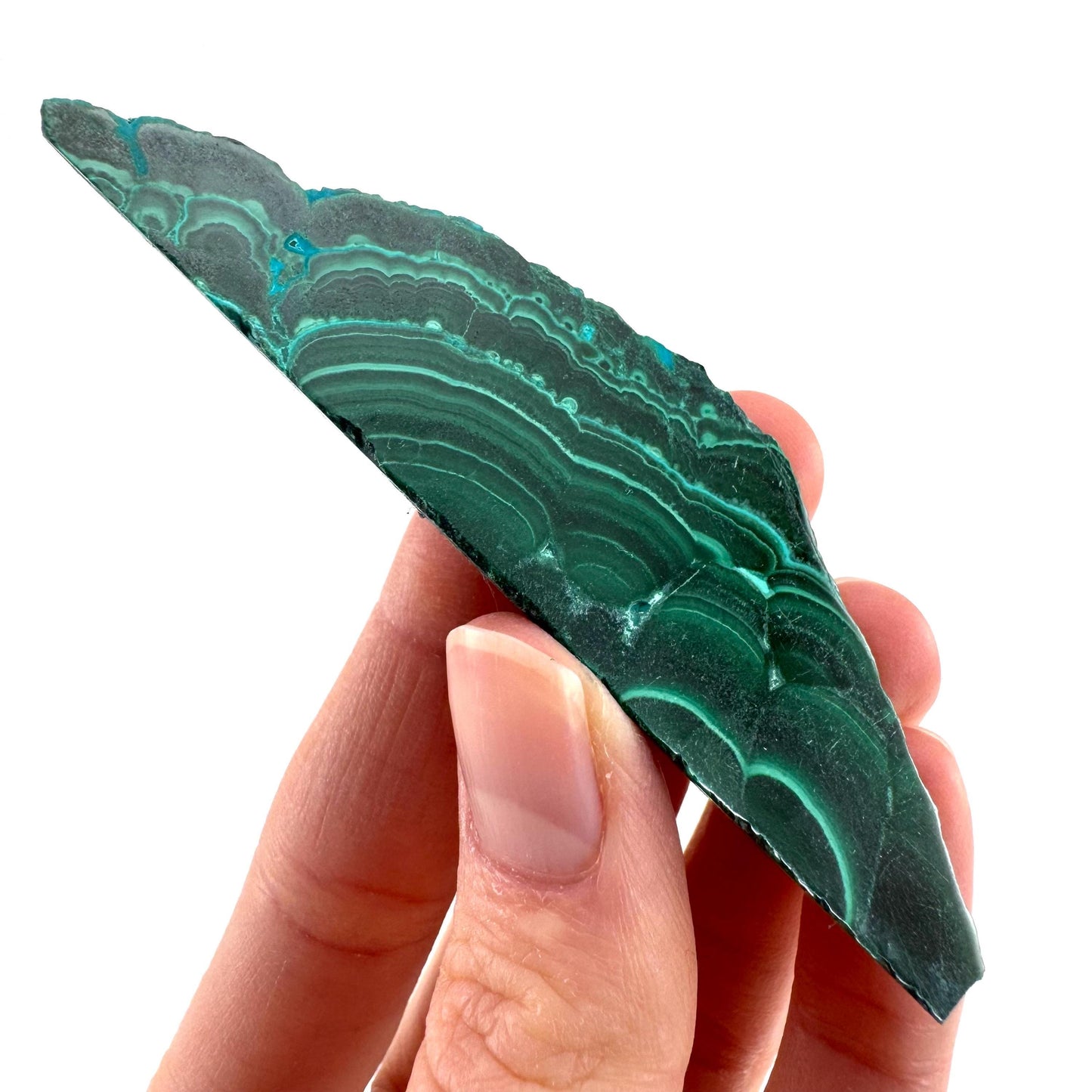 Malachite & Chrysocolla Slice | Polished Malacolla Crystal Slab