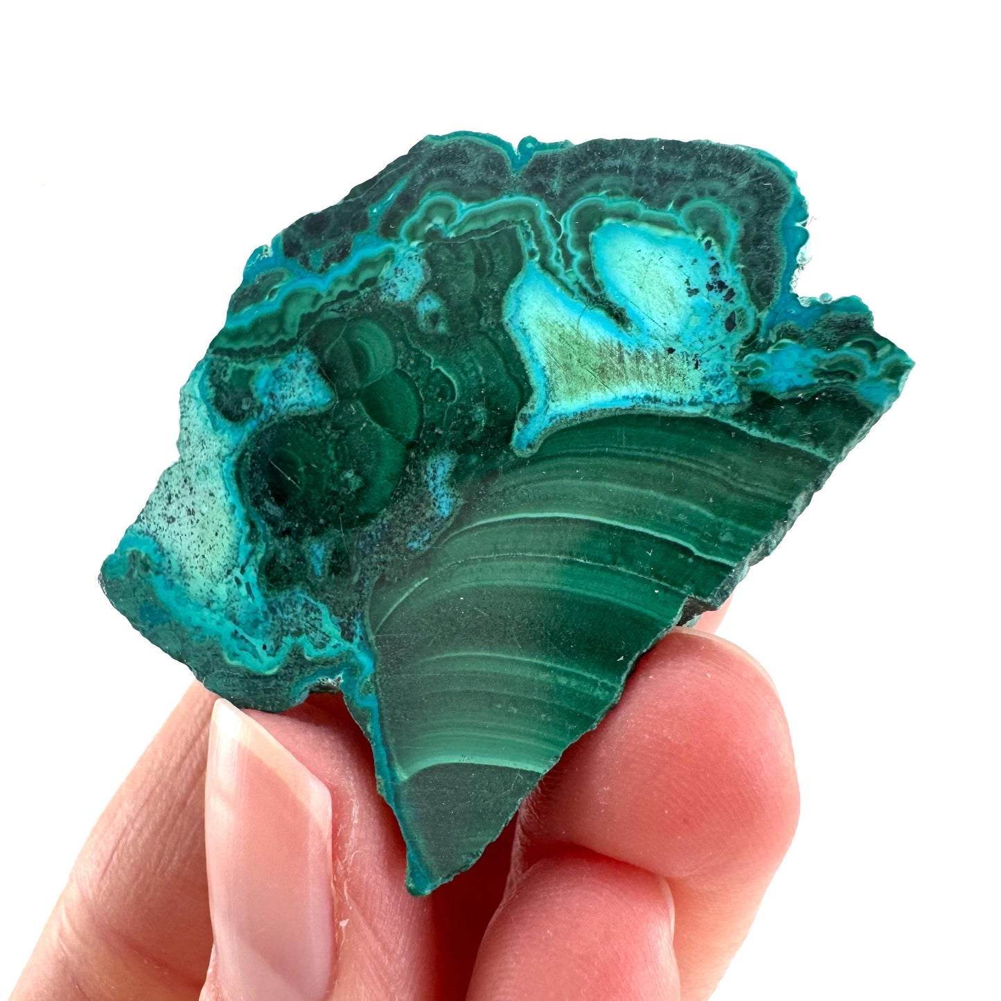 Malachite & Chrysocolla Slice | Polished Malacolla Crystal Slab