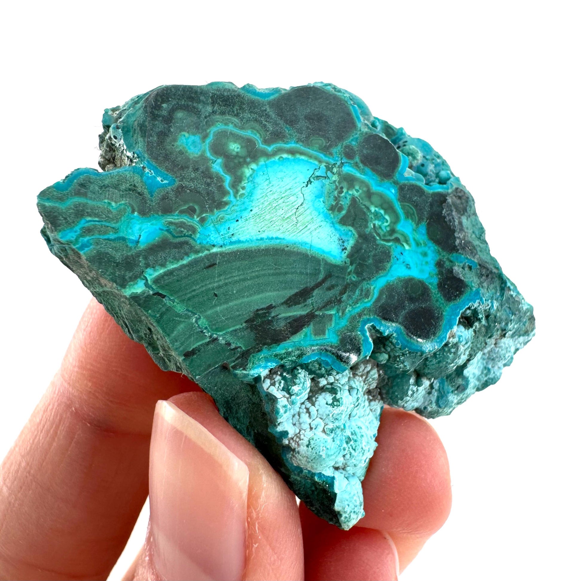 Malachite & Chrysocolla Slice | Polished Malacolla Crystal Slab
