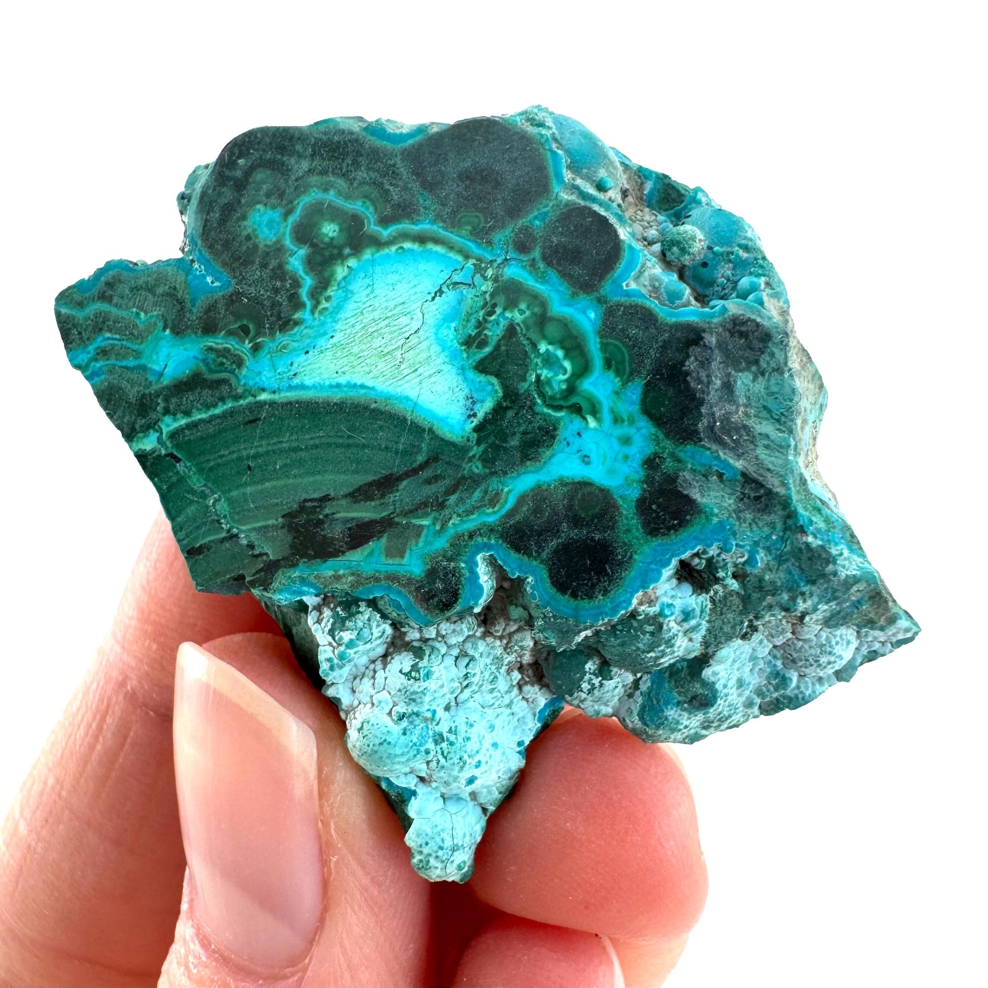 Malachite & Chrysocolla Slice | Polished Malacolla Crystal Slab