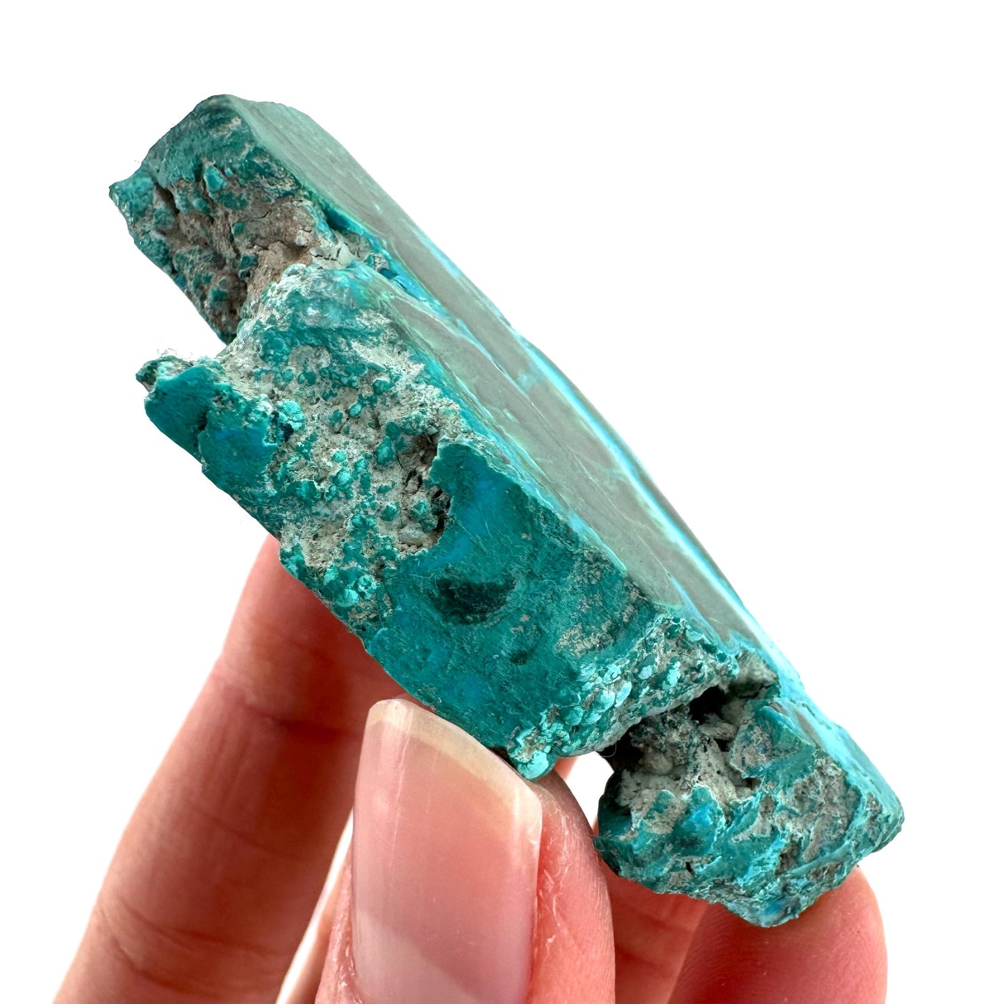 Malachite & Chrysocolla Slice | Polished Malacolla Crystal Slab