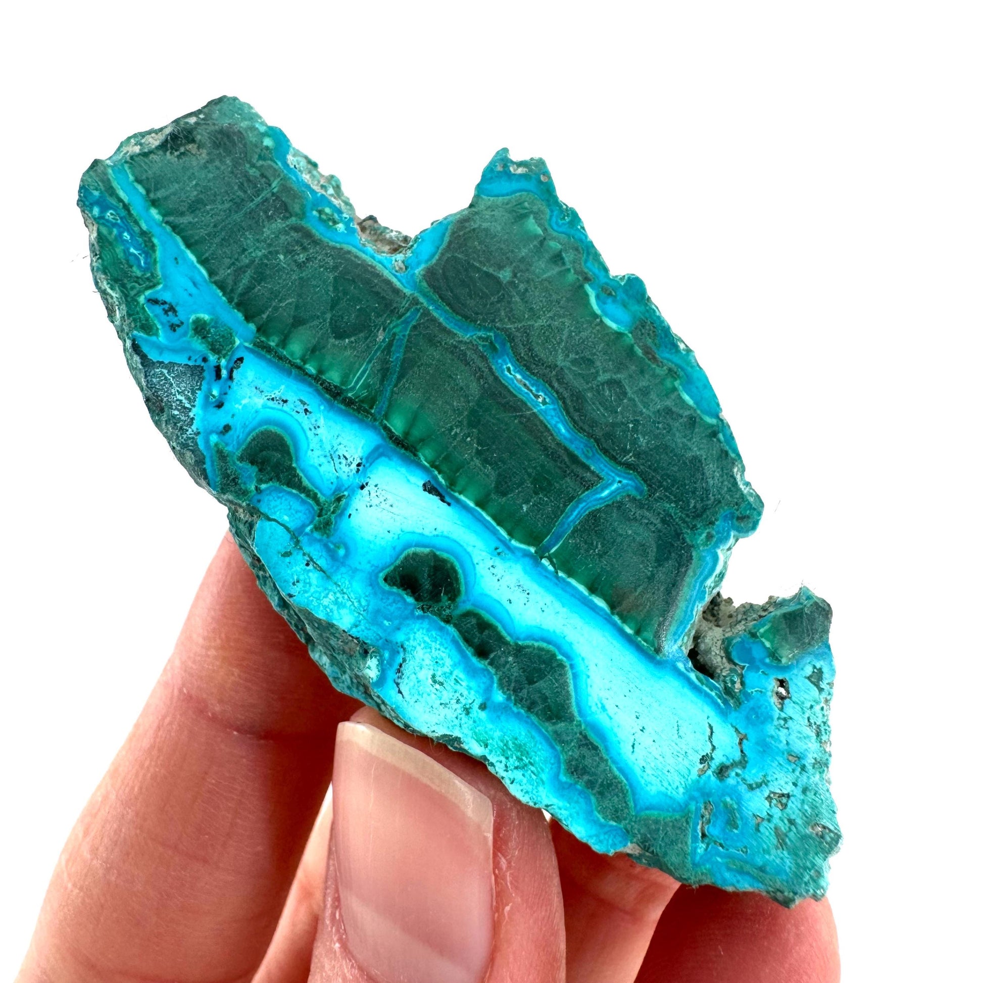 Malachite & Chrysocolla Slice | Polished Malacolla Crystal Slab
