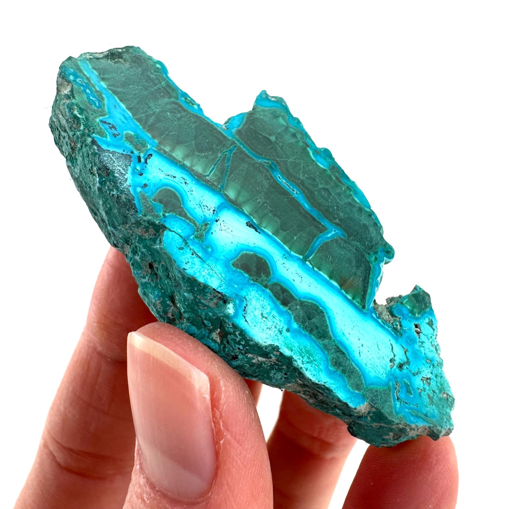 Malachite & Chrysocolla Slice | Polished Malacolla Crystal Slab
