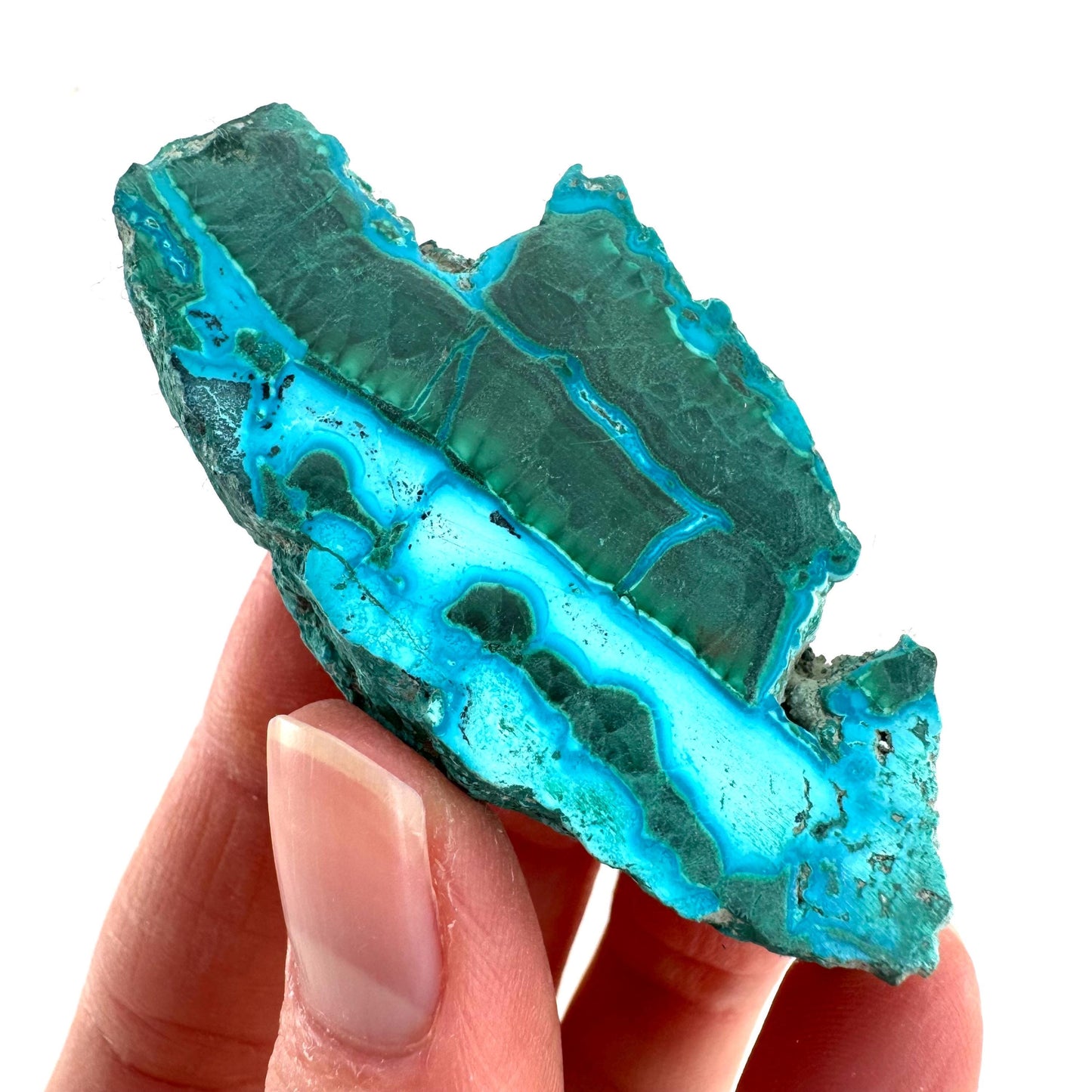 Malachite & Chrysocolla Slice | Polished Malacolla Crystal Slab