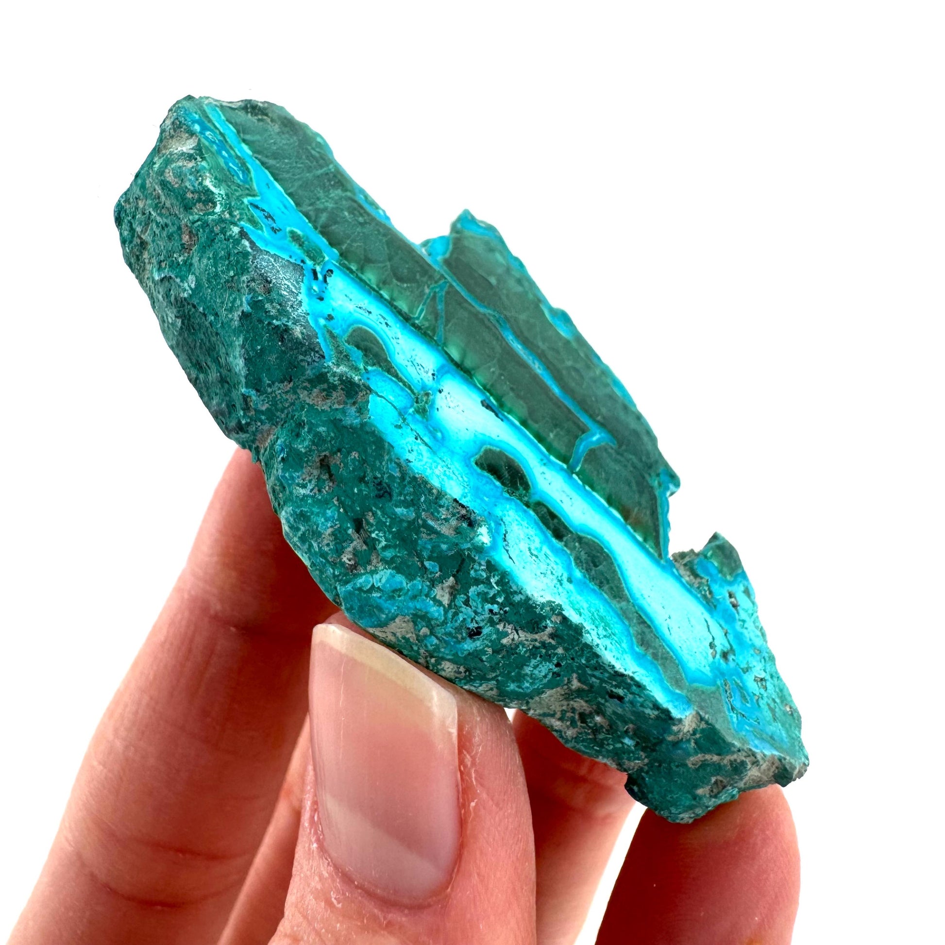 Malachite & Chrysocolla Slice | Polished Malacolla Crystal Slab