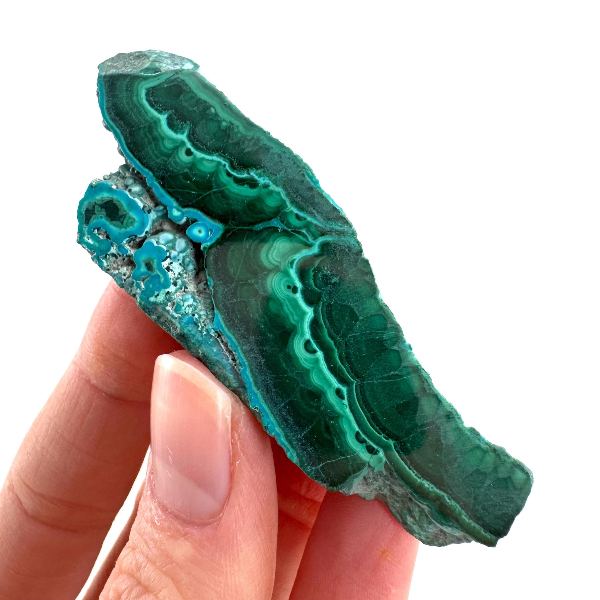 Malachite & Chrysocolla Slice | Polished Malacolla Crystal Slab